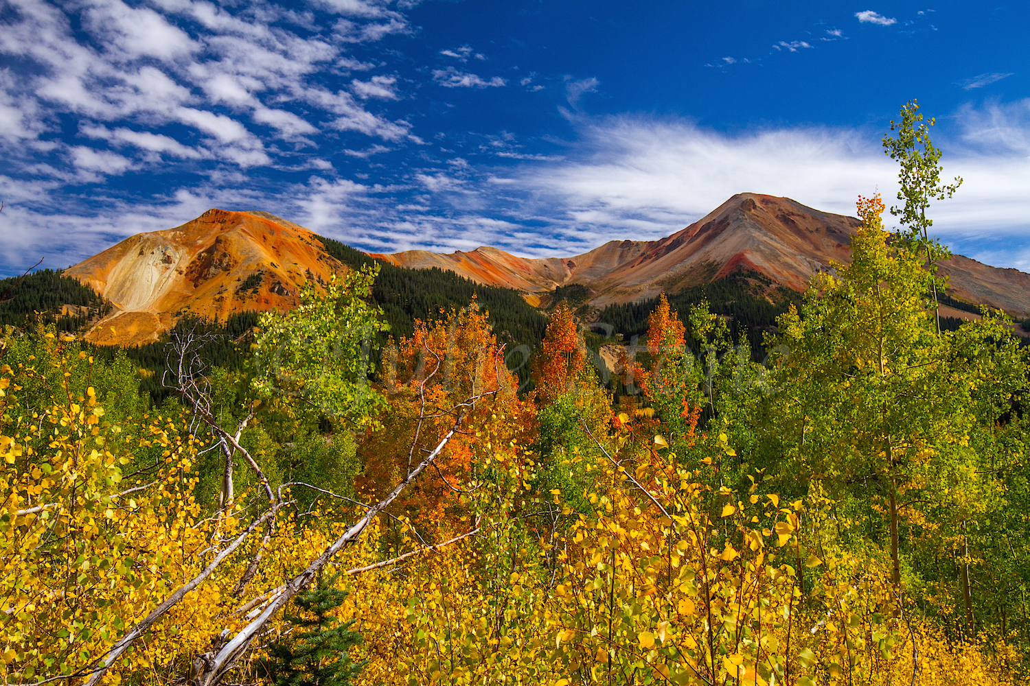 Red Mountain Fall Color, Image #