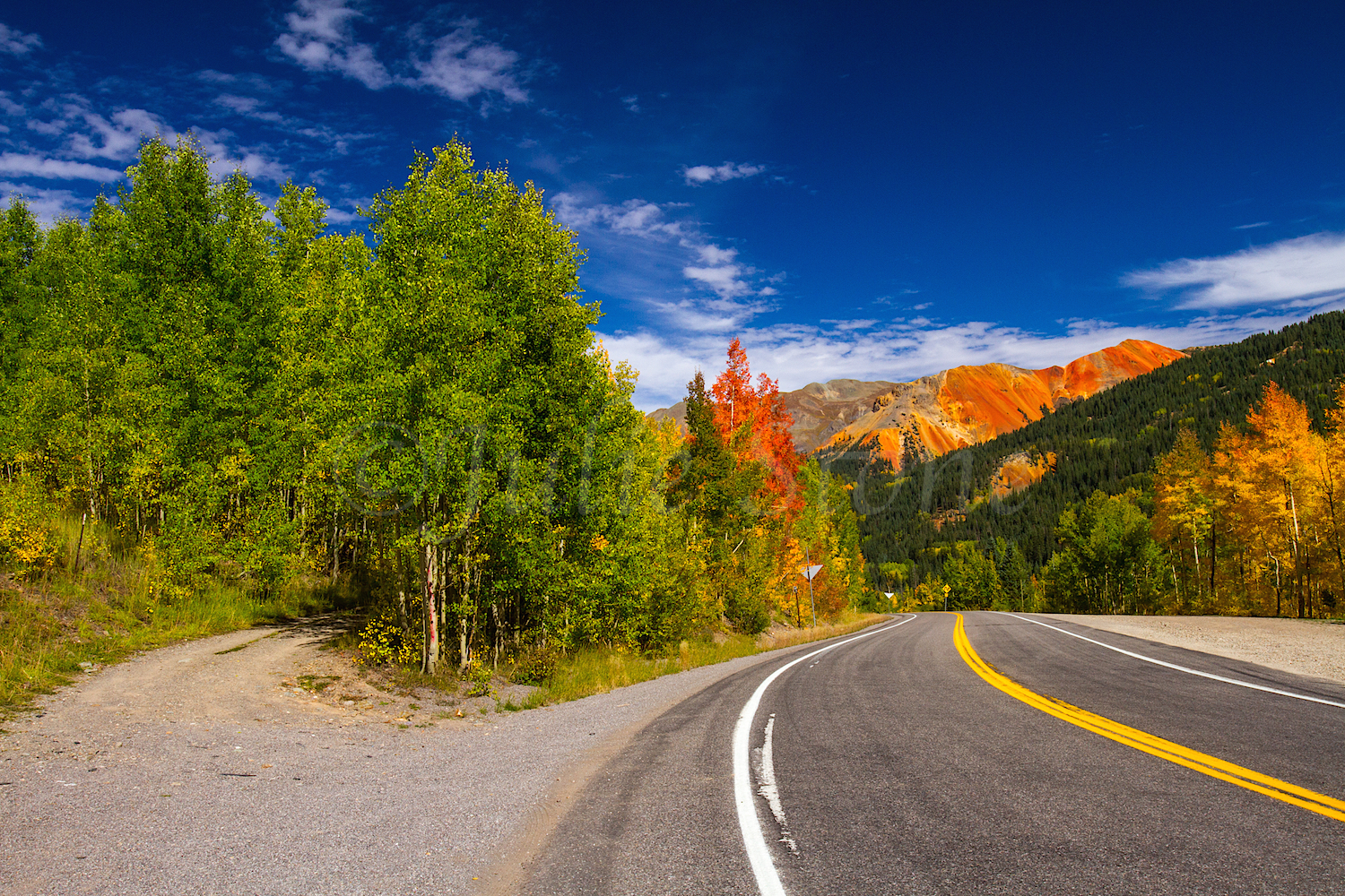 Red Mountain Fall Color, Image #0162