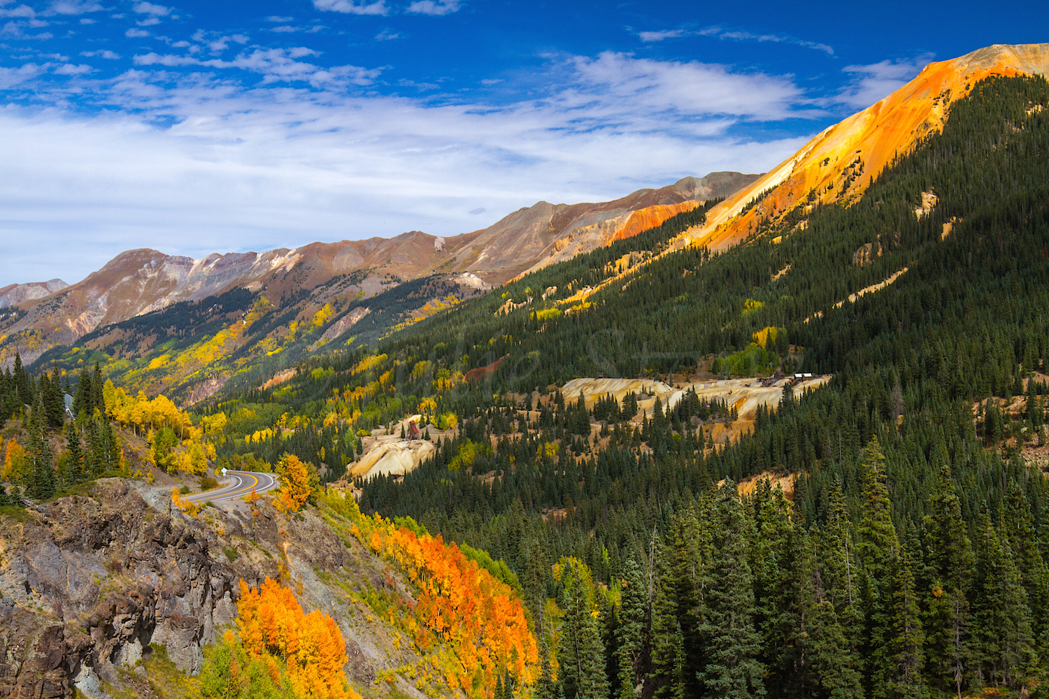 Red Mountain Fall Color, Image #0189