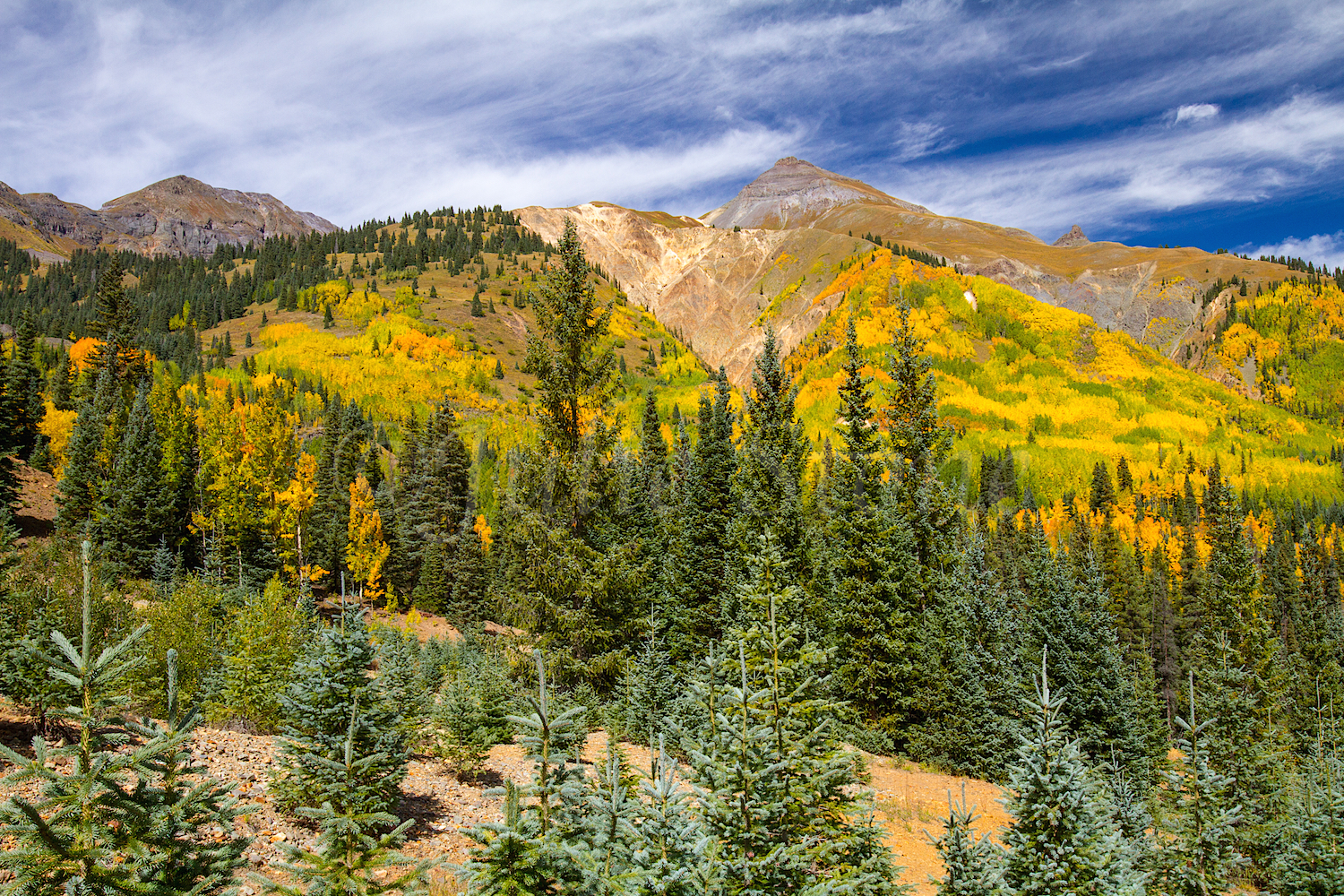 Red Mountain Fall Color, Image #9125