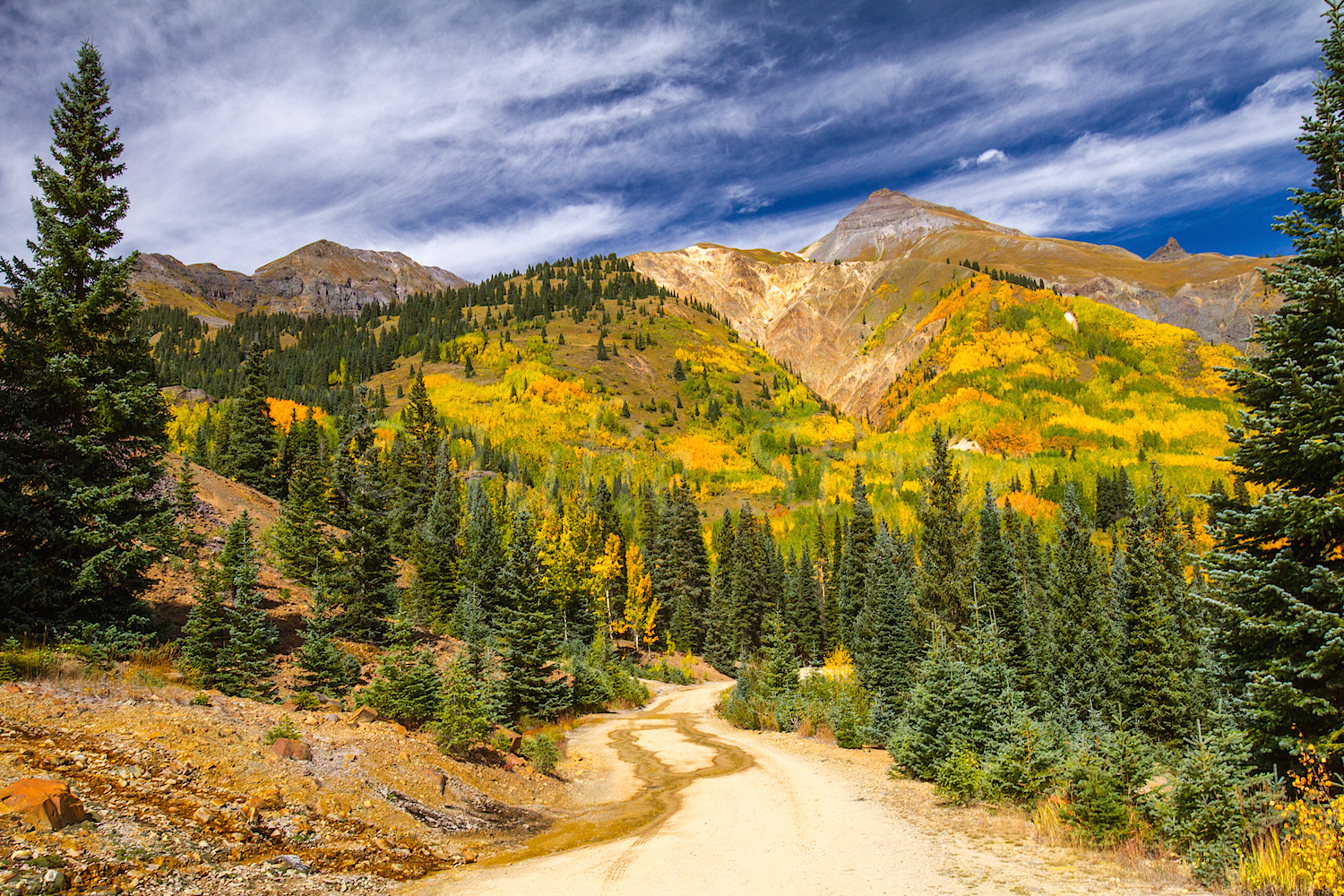 Red Mountain Fall Color, Image #9113