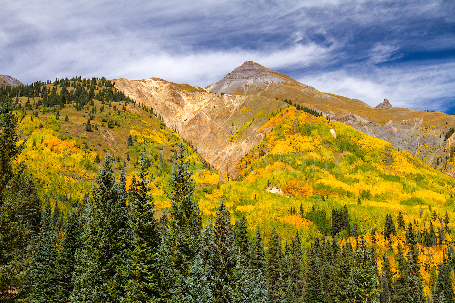 Red Mountain Fall Color, Image #9138