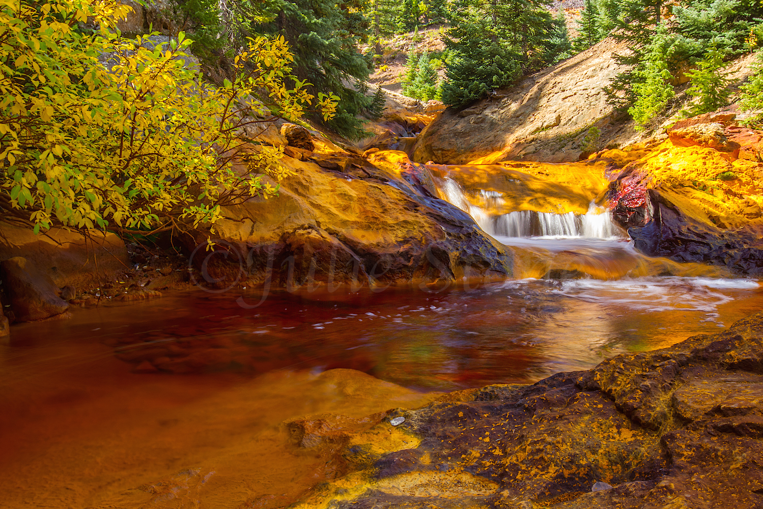 Red Mountain Fall Color, Image #9248