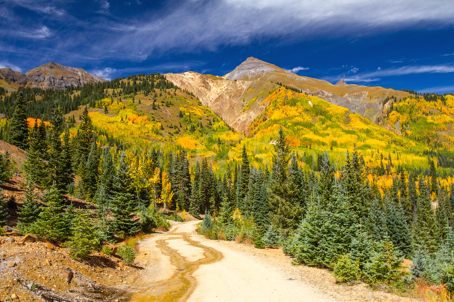 Red Mountain Fall Color, Image #9504