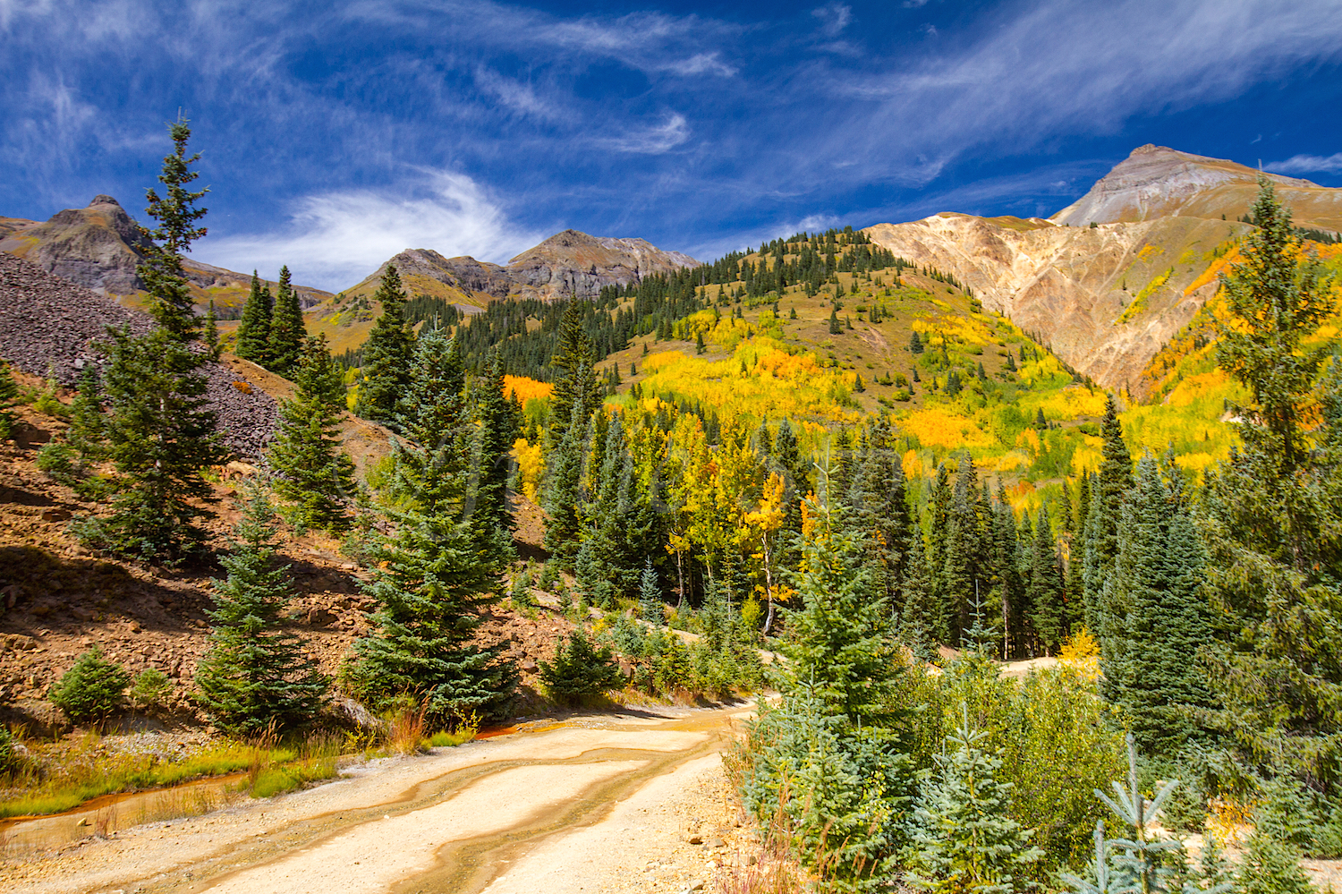 Red Mountain Fall Color, Image #9516