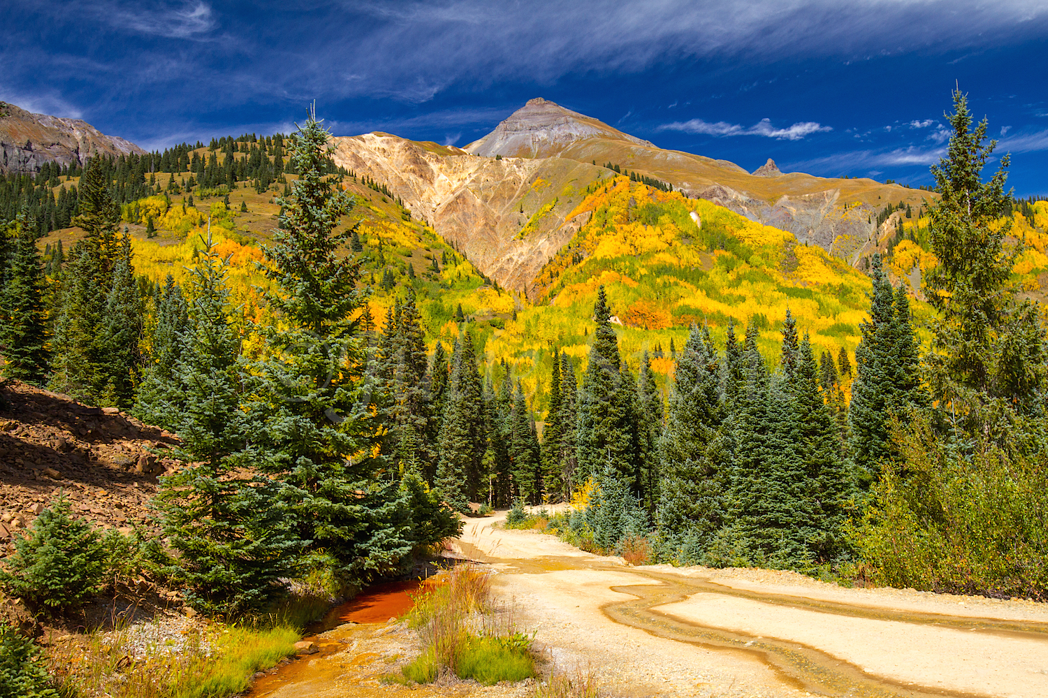 Red Mountain Fall Color, Image #9525