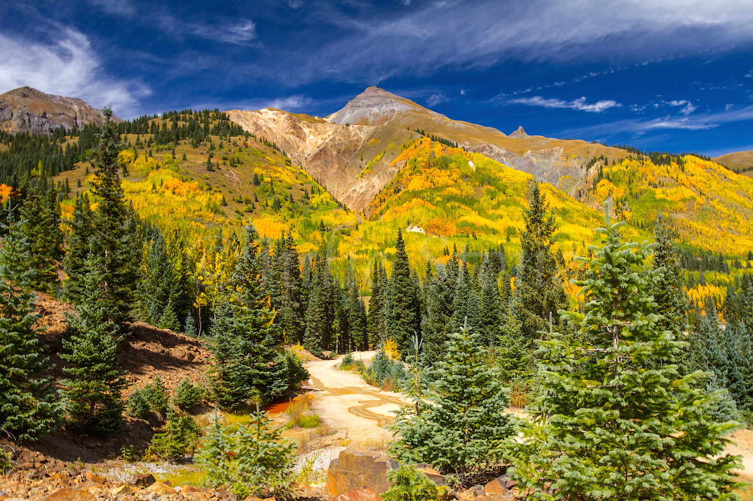 Red Mountain Fall Color, Image #9535