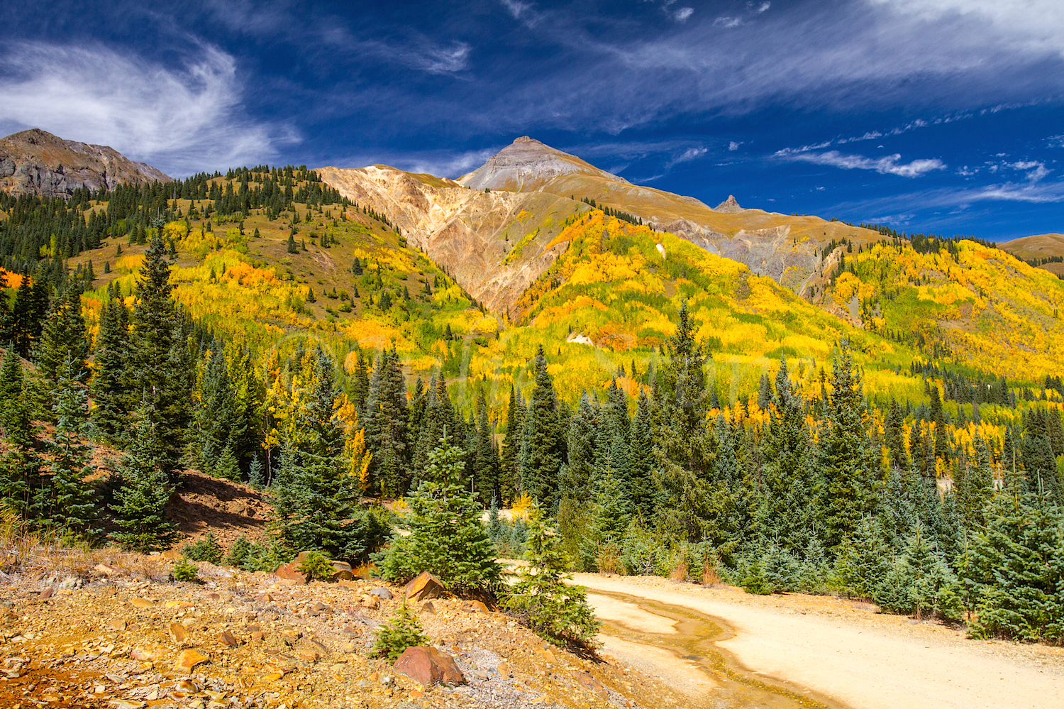 Red Mountain Fall Color, Image #9551