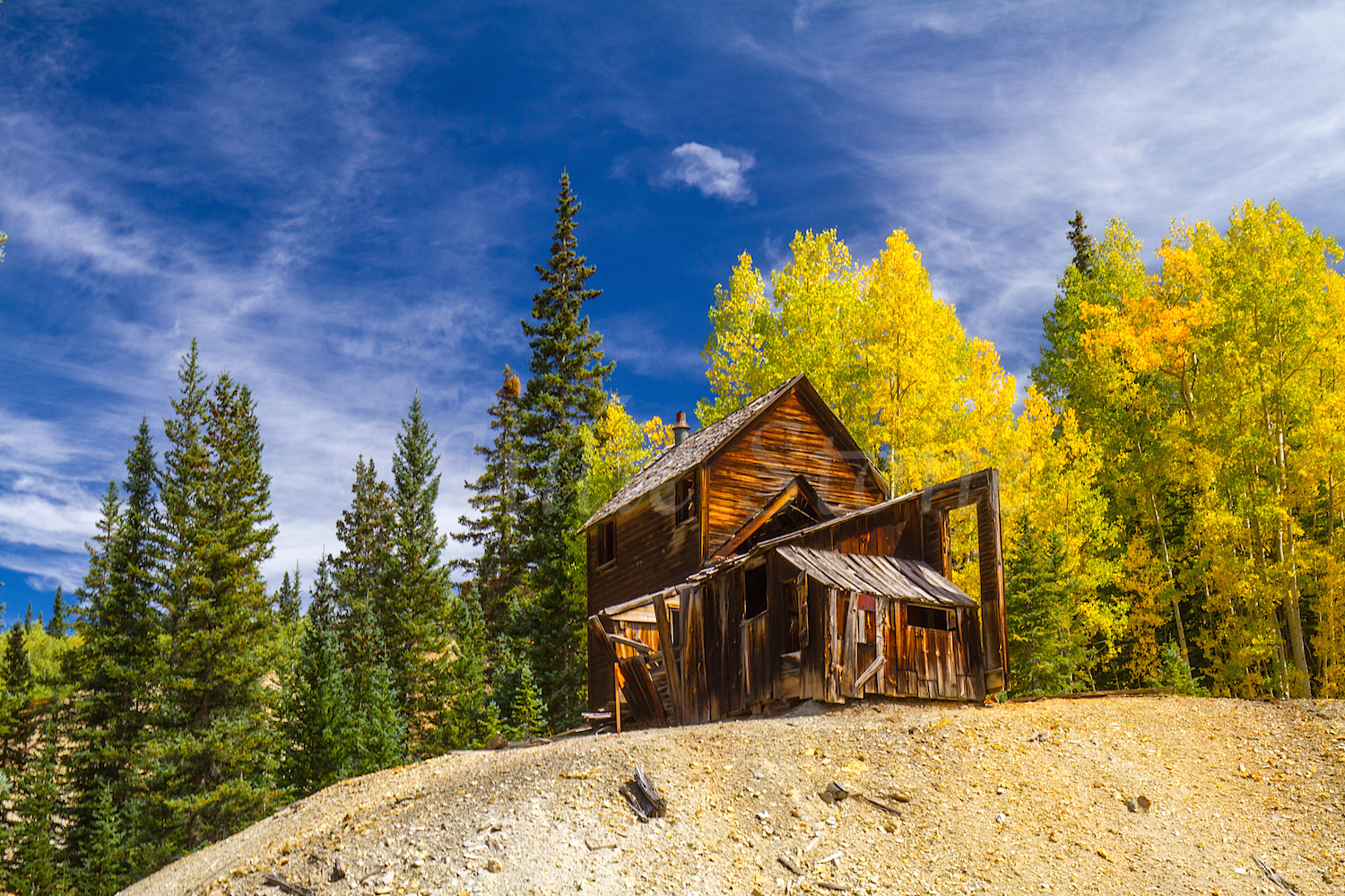 Red Mountain Fall Color, Image #9565