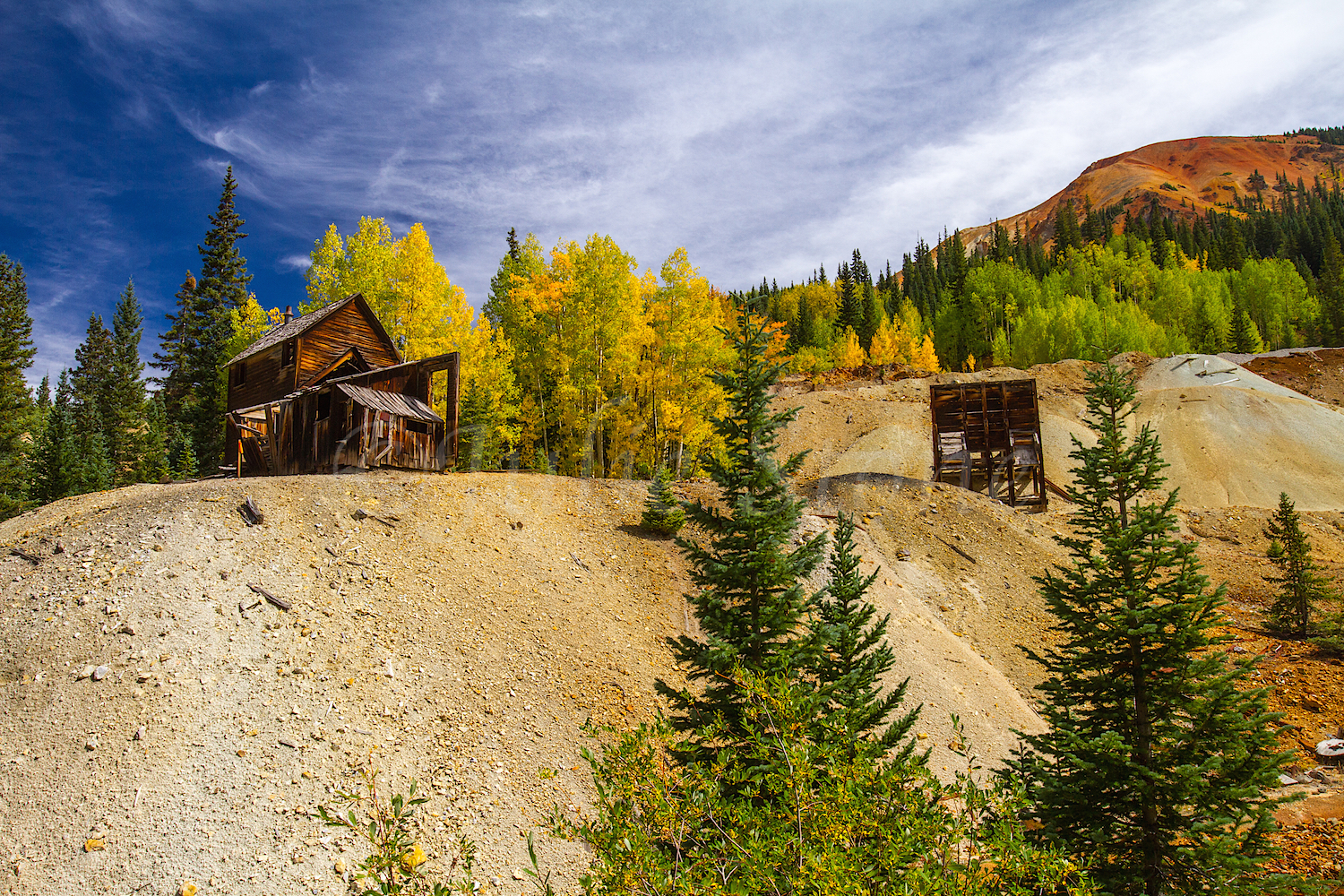 Red Mountain Fall Color, Image #9572