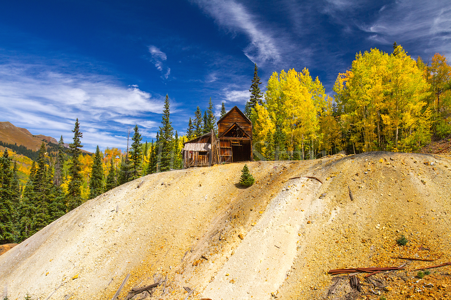 Red Mountain Fall Color, Image #9575