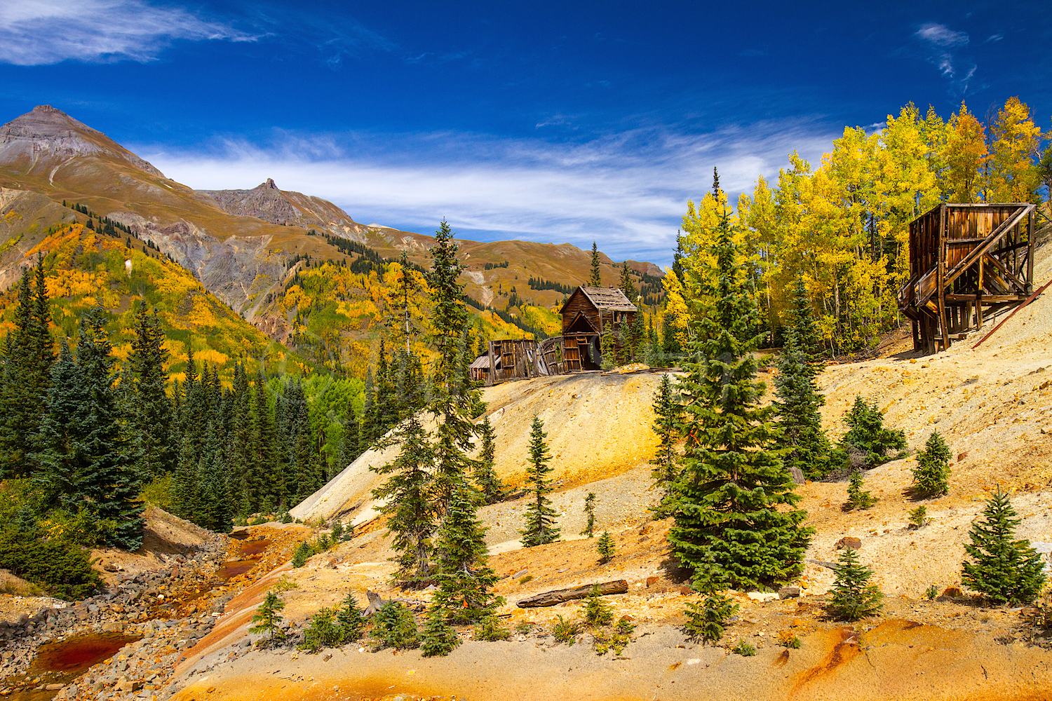 Red Mountain Fall Color, Image #9583