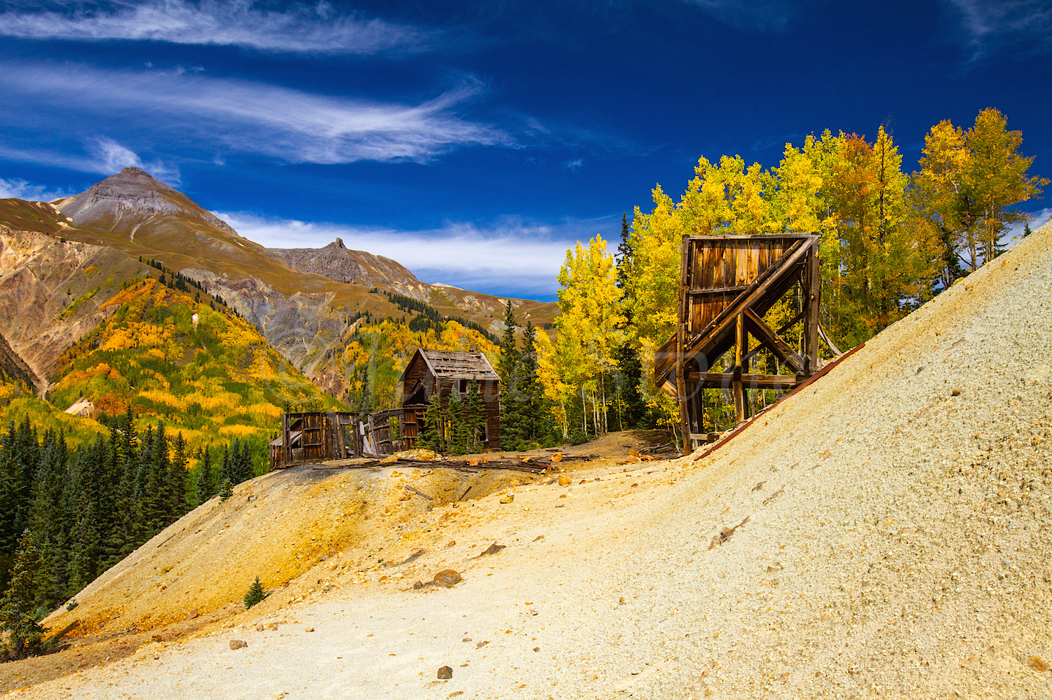 Red Mountain Fall Color, Image #9618