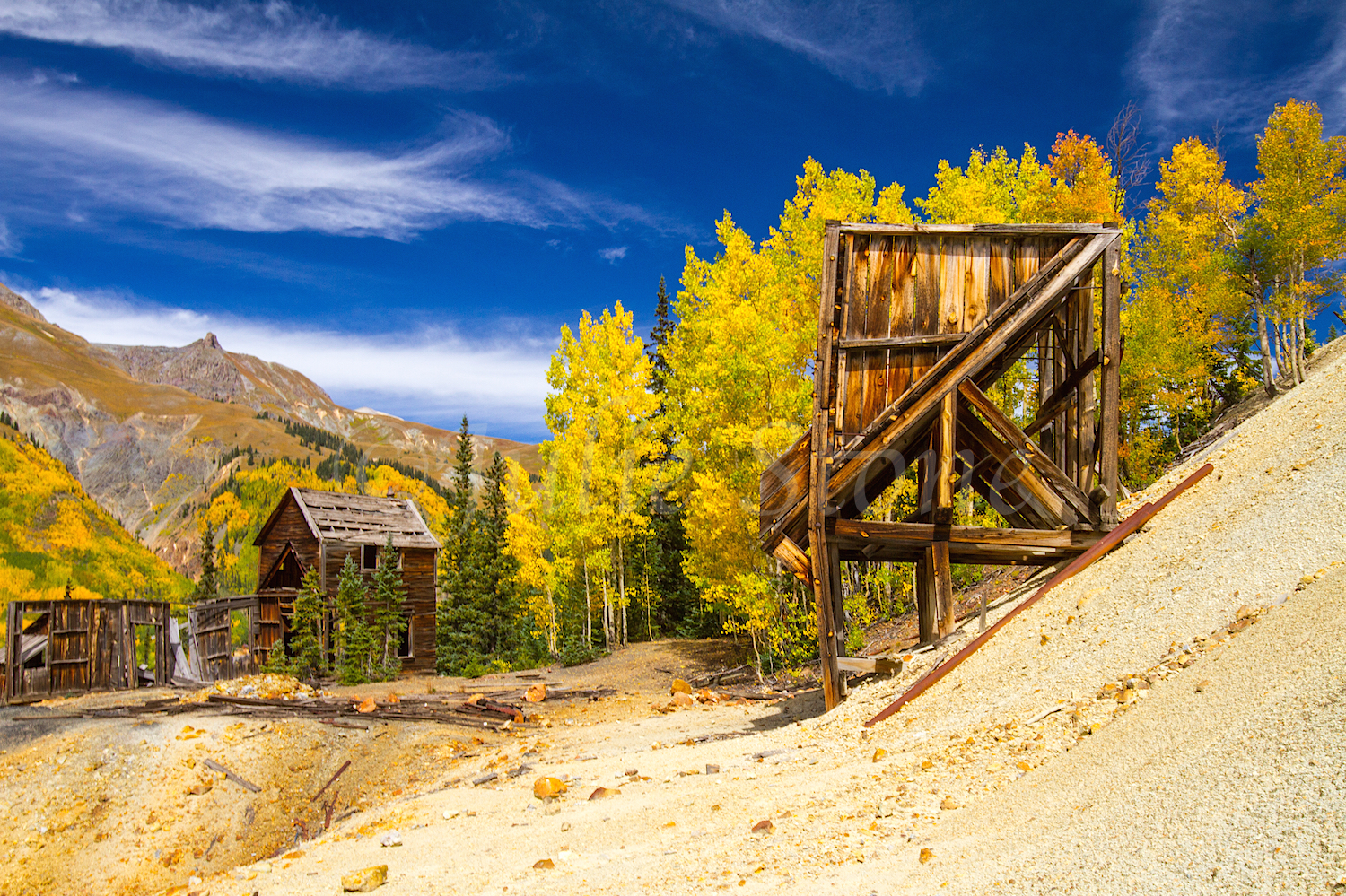 Red Mountain Fall Color, Image #9623