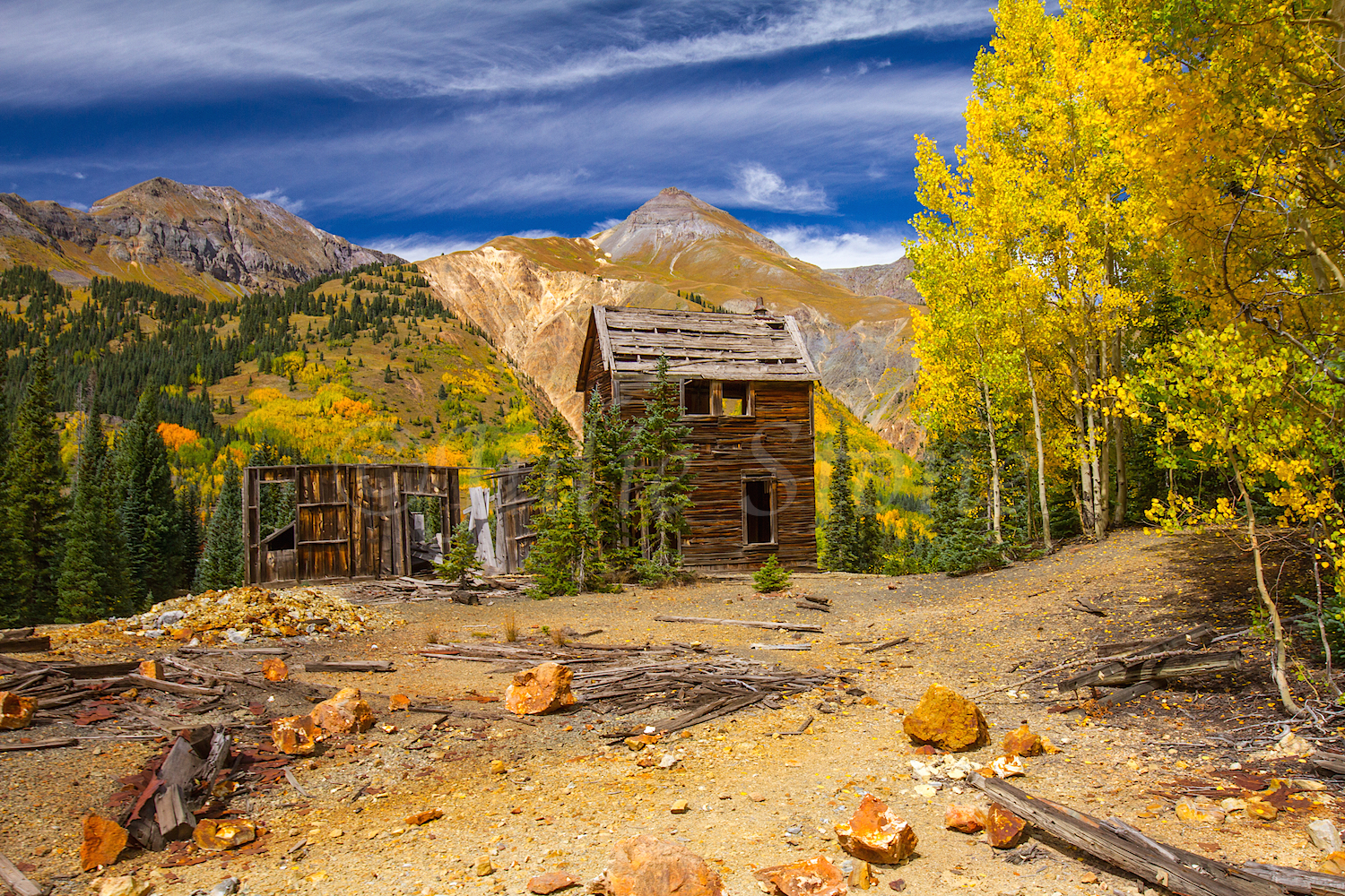 Red Mountain Fall Color, Image #9637