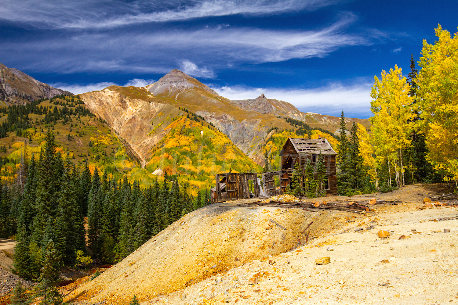 Red Mountain Fall Color, Image #9630