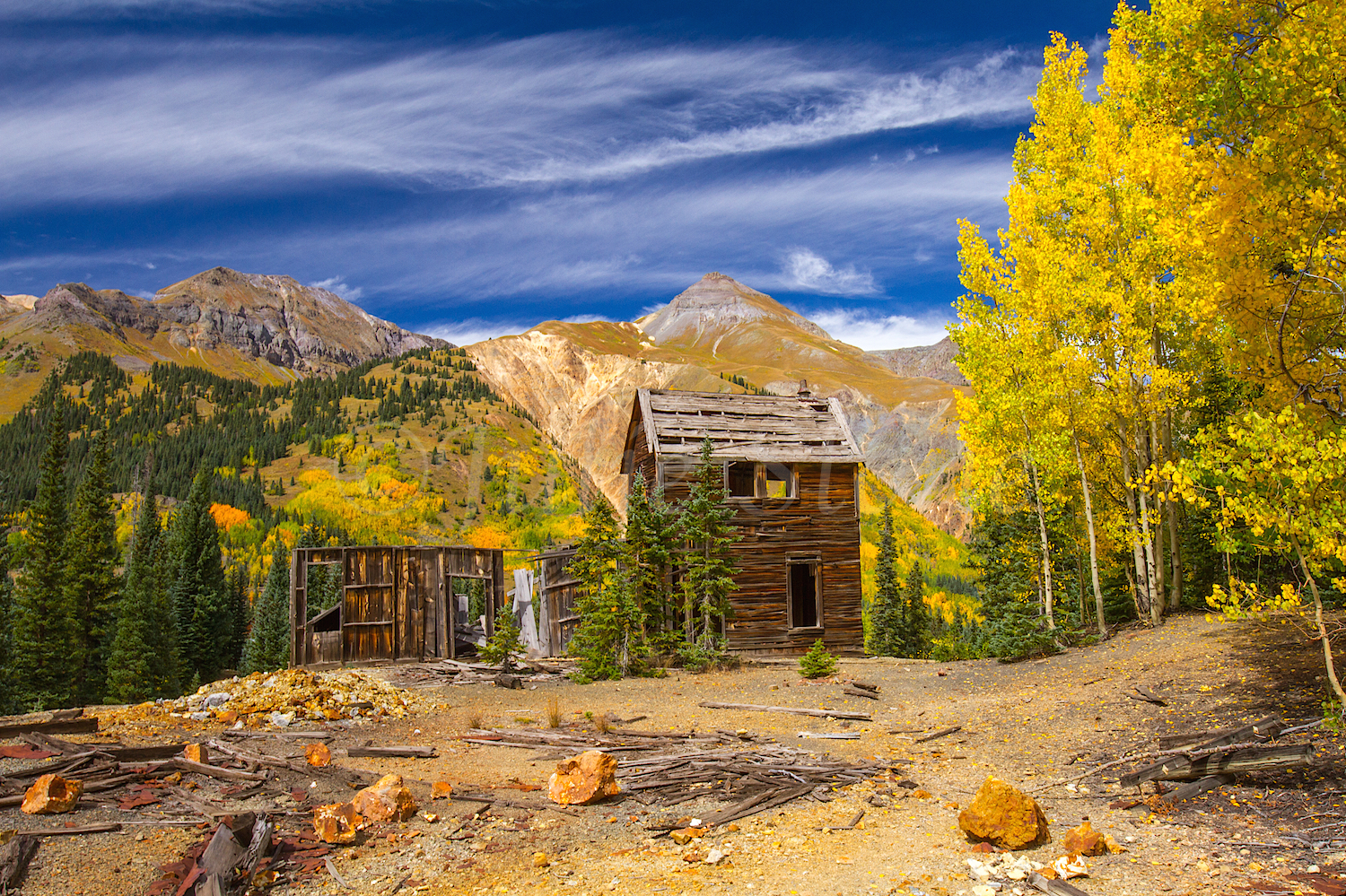 Red Mountain Fall Color, Image #9642