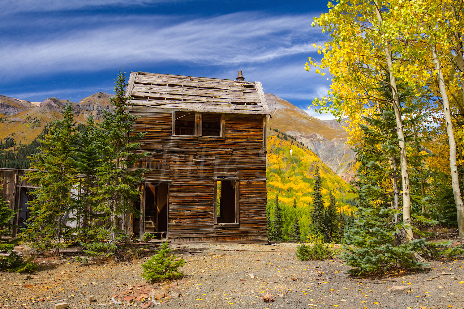 Red Mountain Fall Color, Image #9651