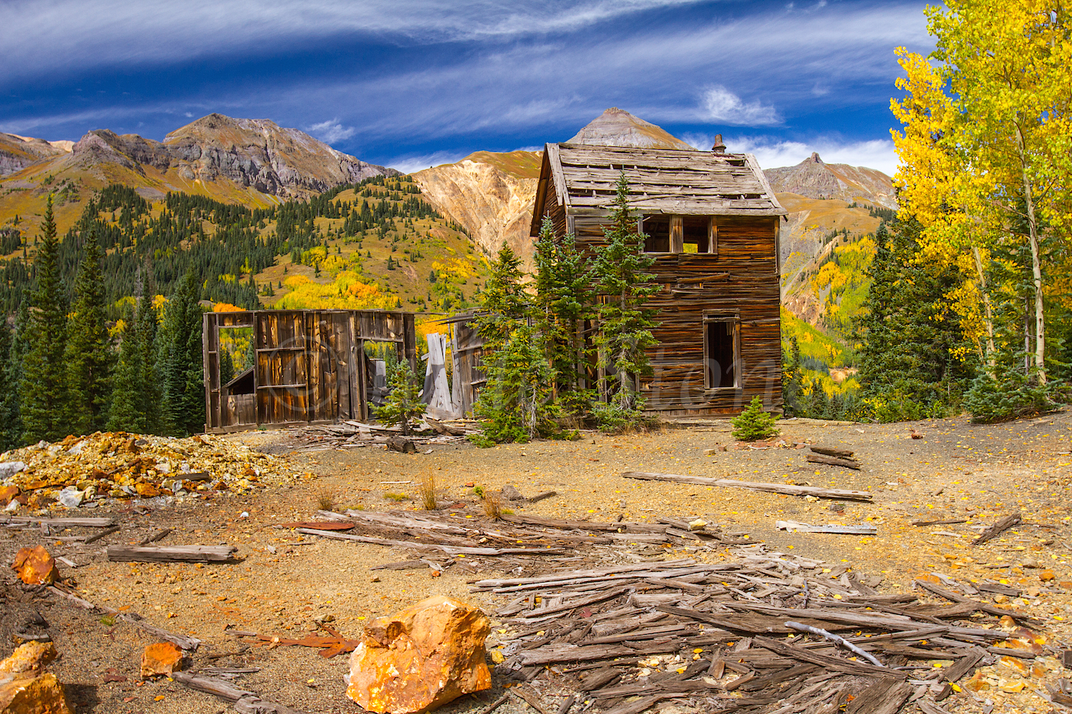 Red Mountain Fall Color, Image #9649