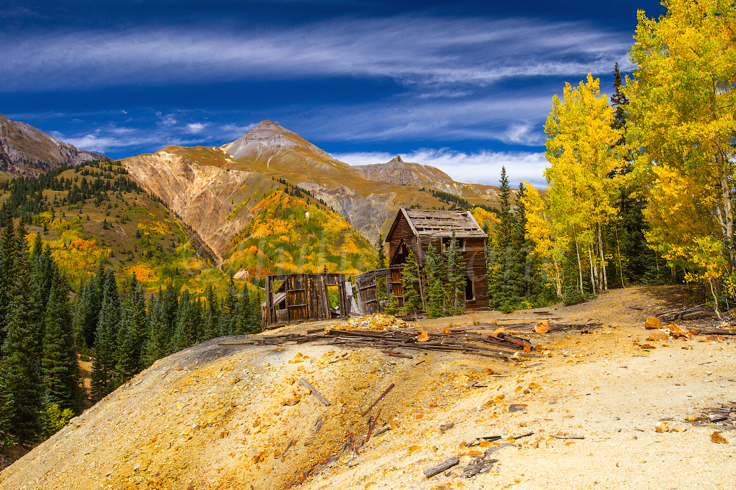 Red Mountain Fall Color, Image #9693