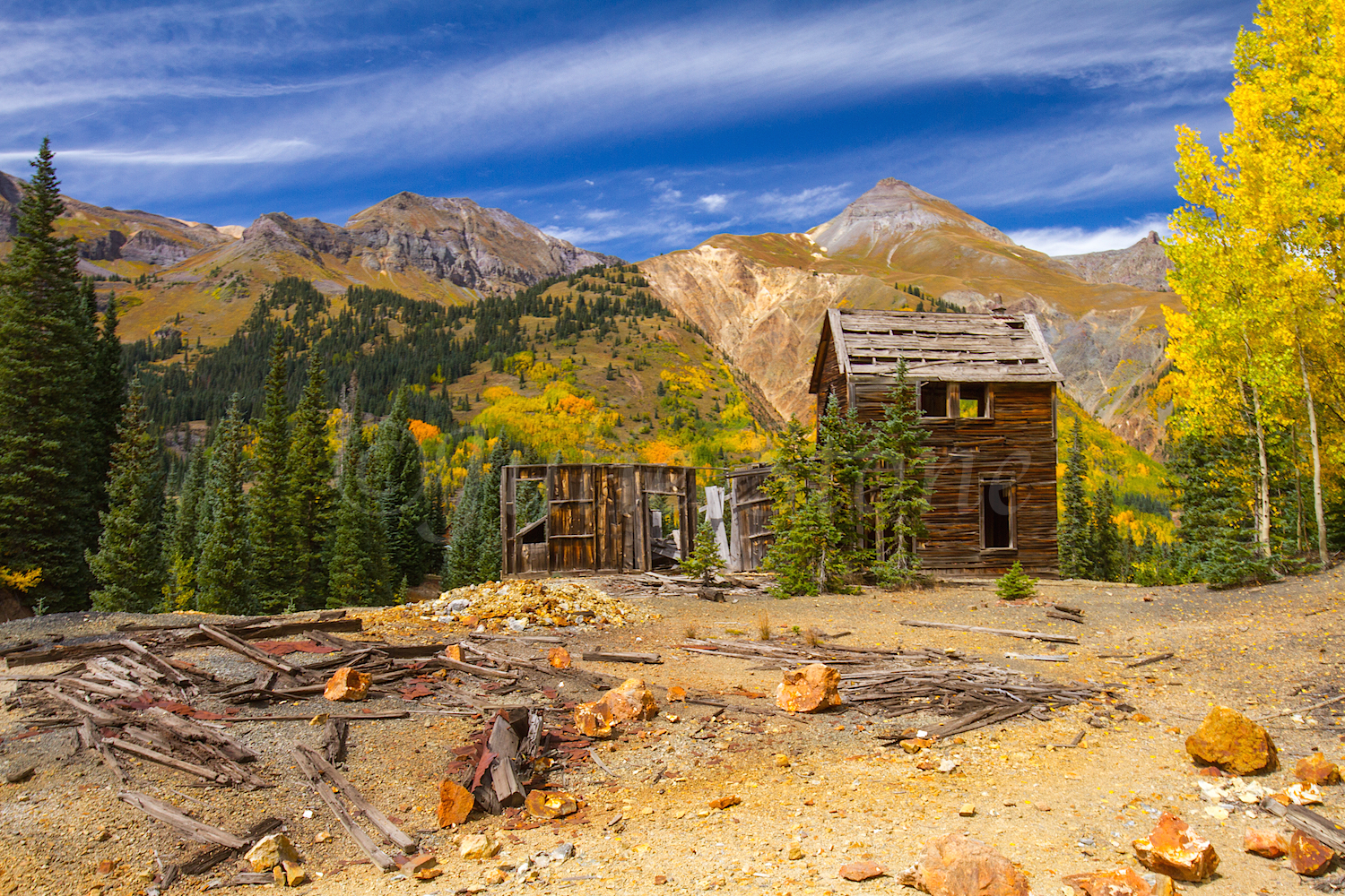 Red Mountain Fall Color, Image #9683