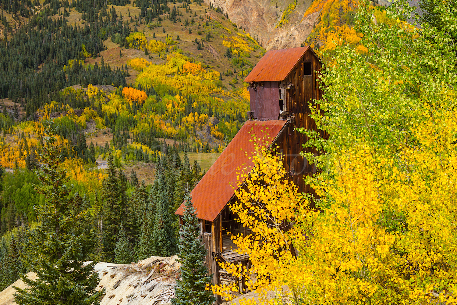 Red Mountain Fall Color, Image #9780