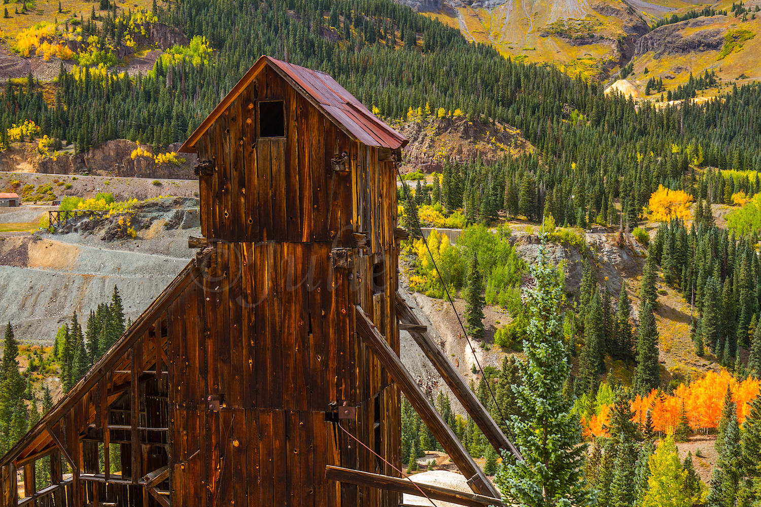 Red Mountain Fall Color, Image #9802