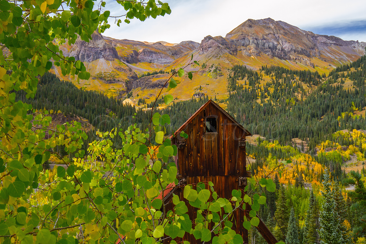 Red Mountain Fall Color, Image #9790