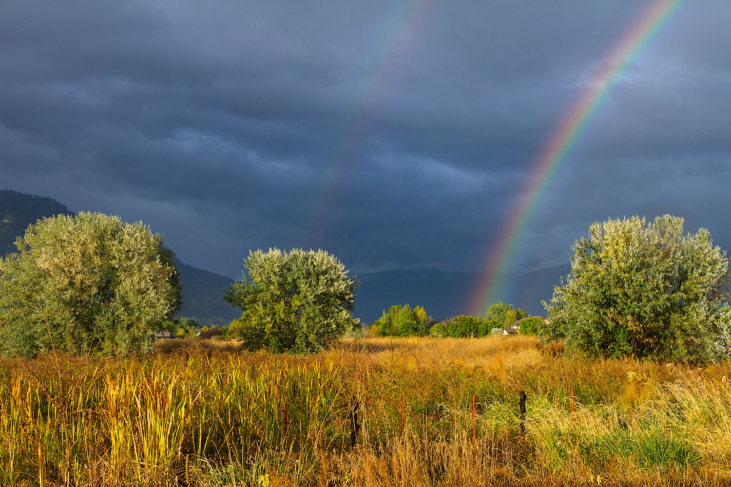 Durango Double Rainbow, Image #6117