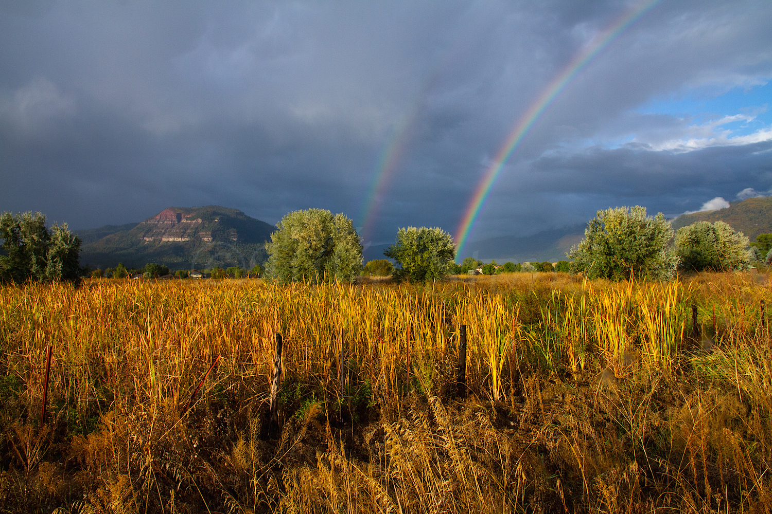 Durango Double Rainbow, Image #6186