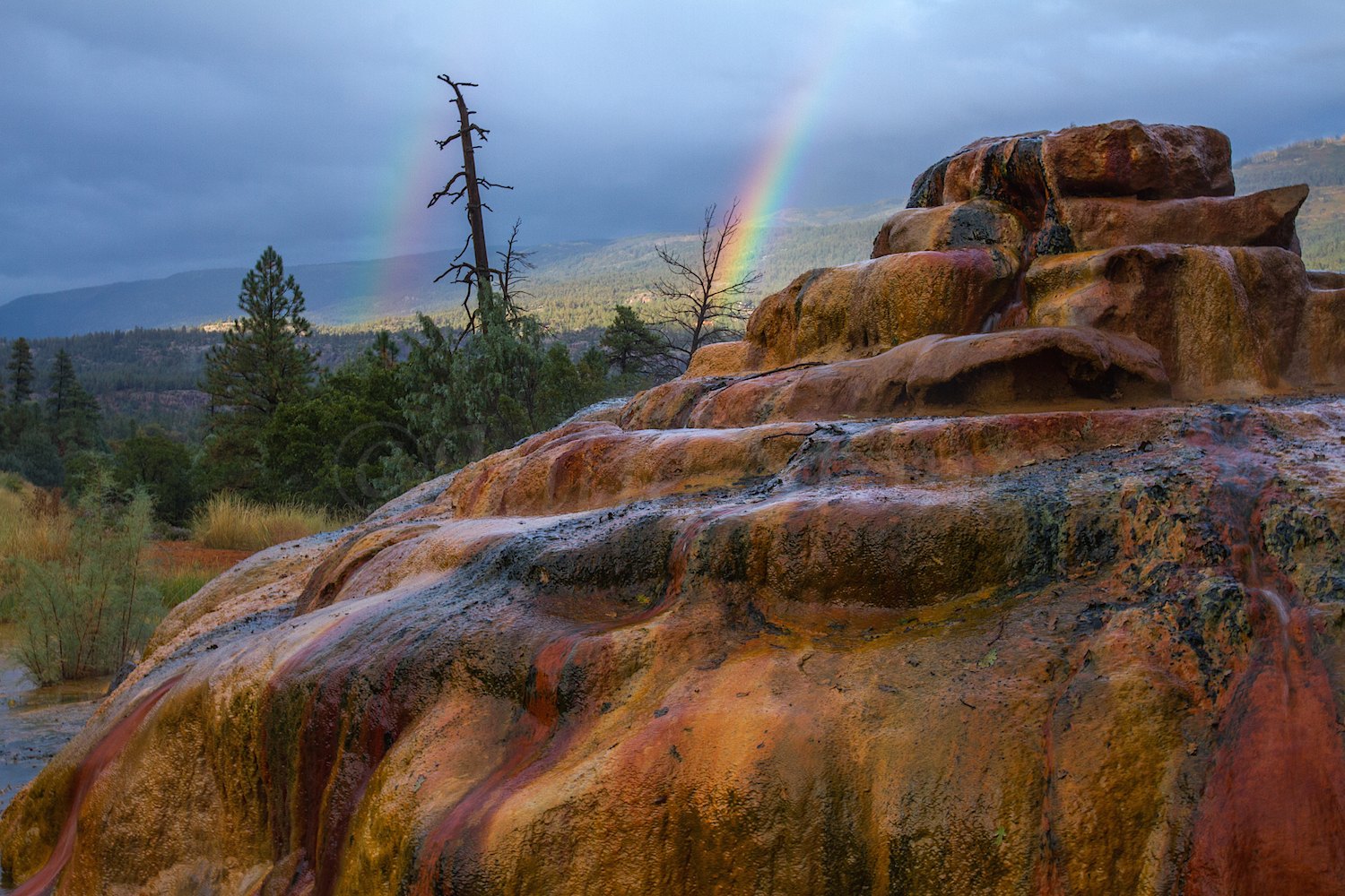 Pinkerton Hot Springs, Image #6256