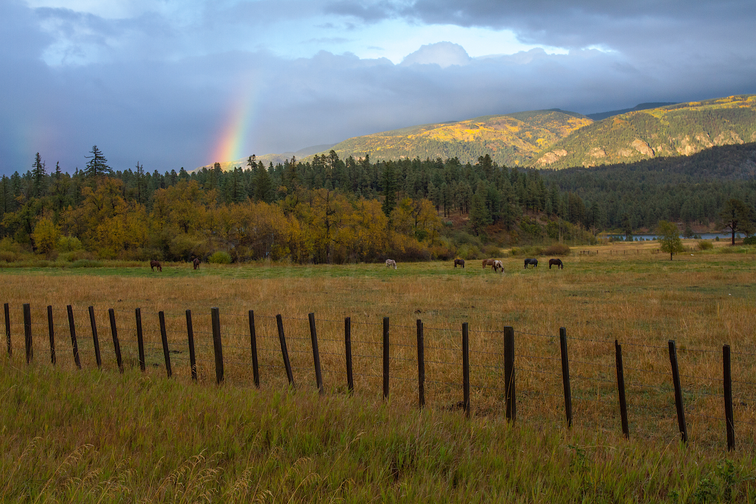 Havilland Lake Rainbow, Image #6386