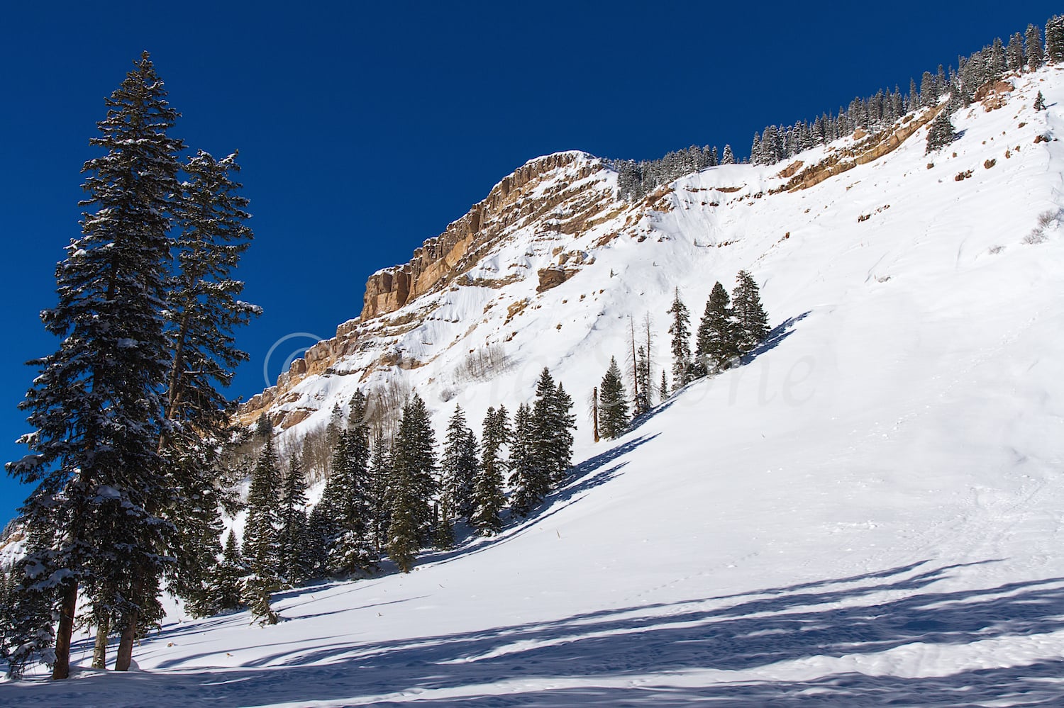 Coal Bank Pass, Image #0897