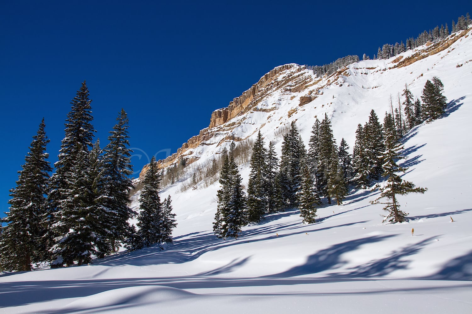 Coal Bank Pass, Image #0949