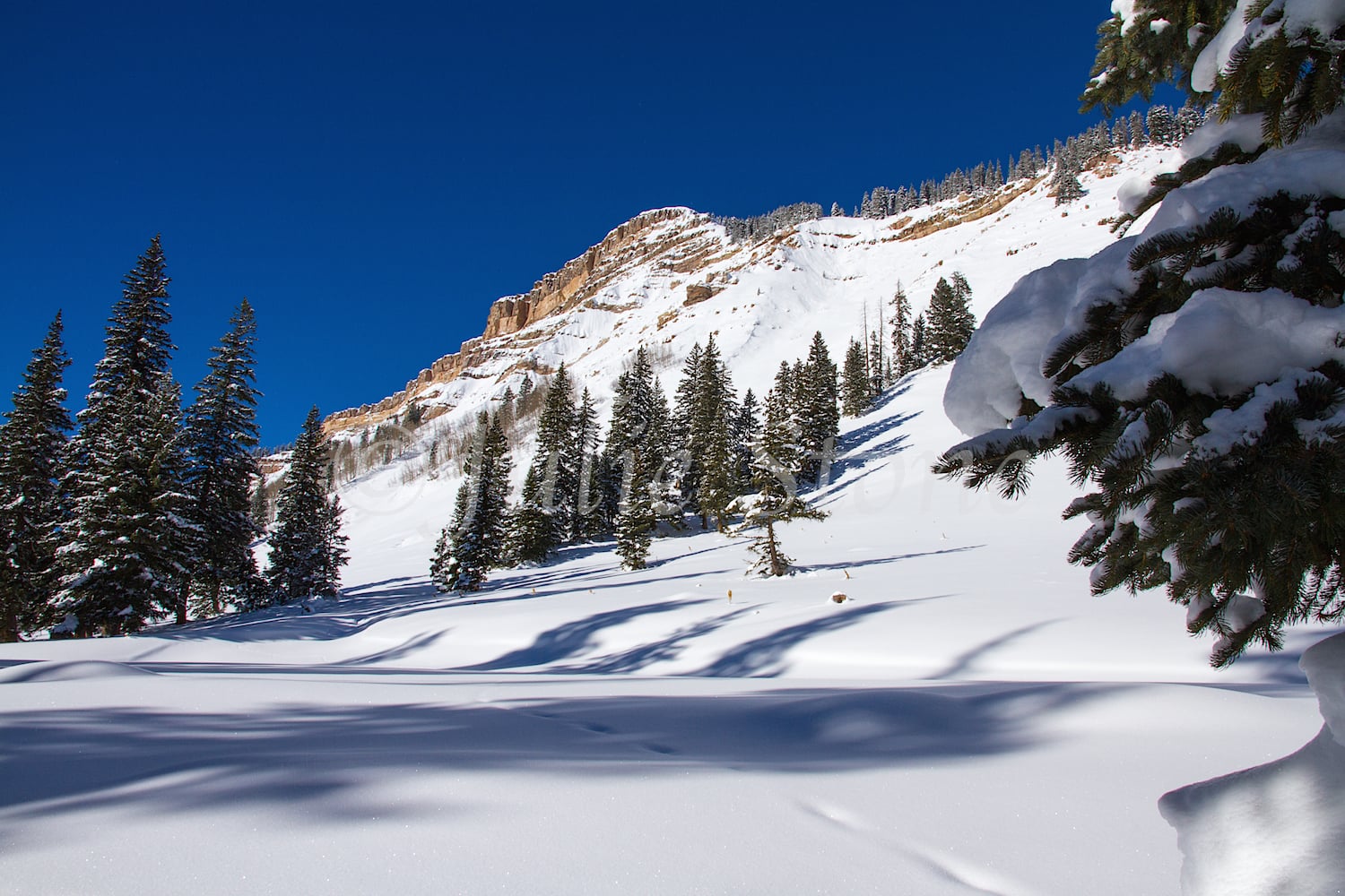 Coal Bank Pass, Image #0936