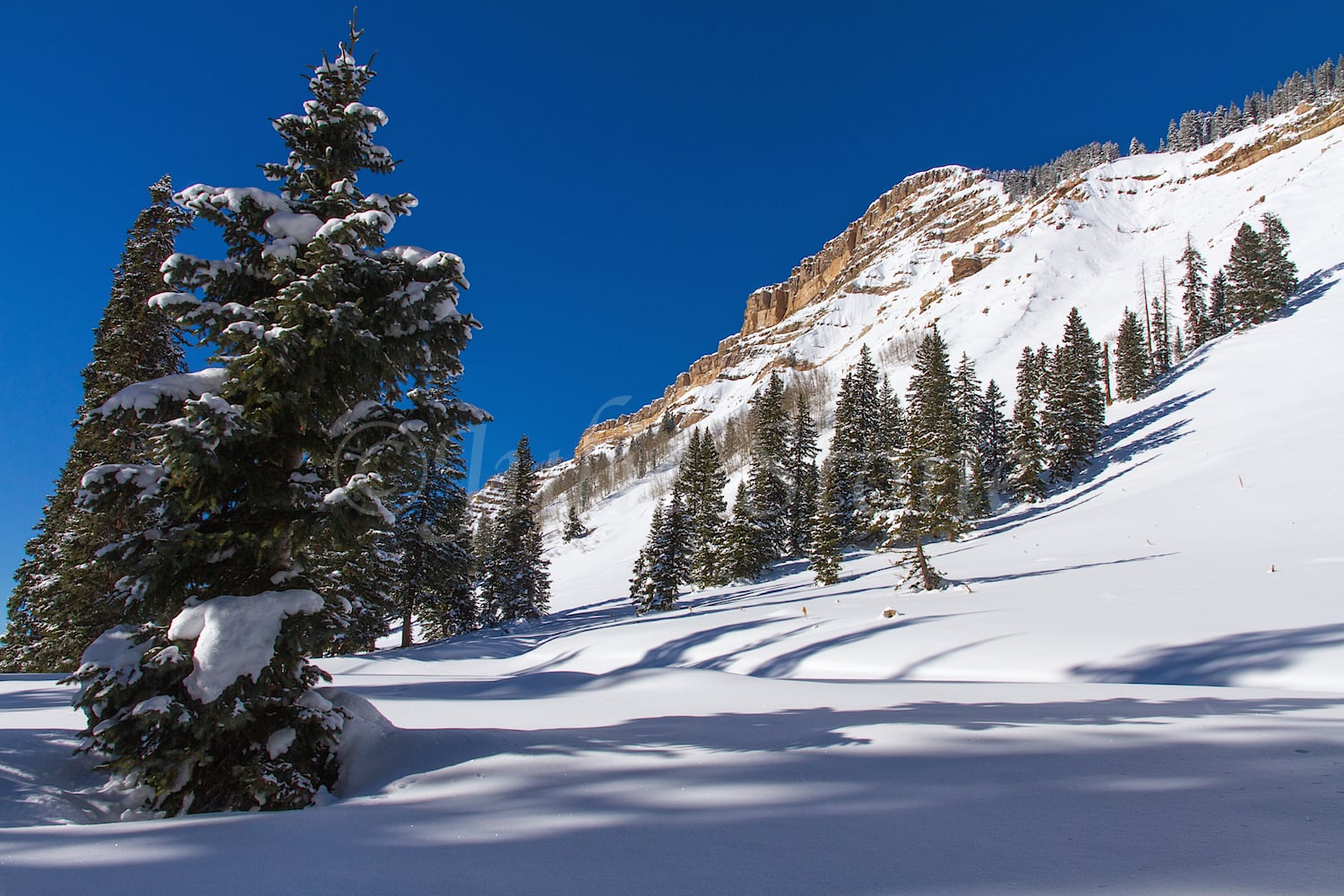 Coal Bank Pass, Image #0954