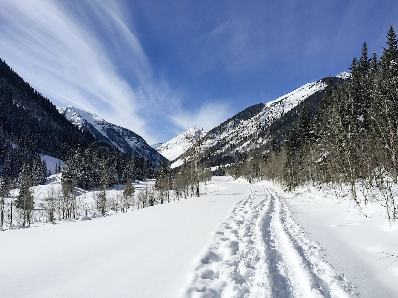 South Mineral, Image #7523
