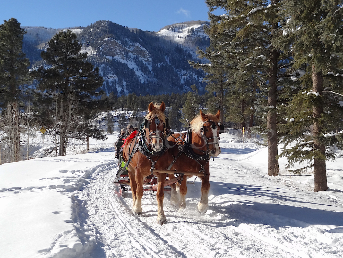 Haviland Sleigh Ride, Image #5115