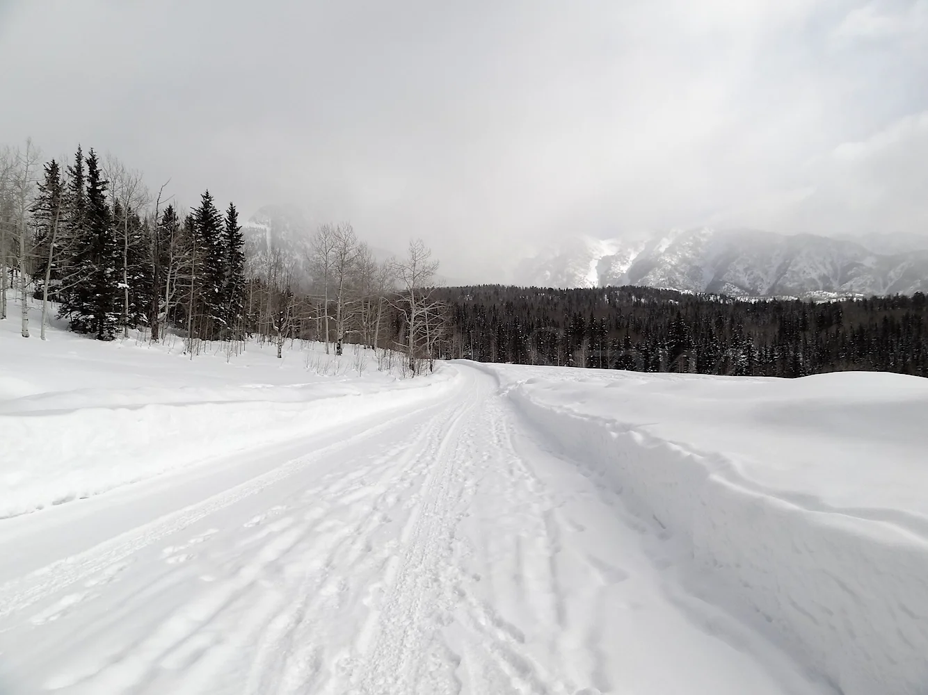 Lime Creek Road Snowshoe, Image #5195