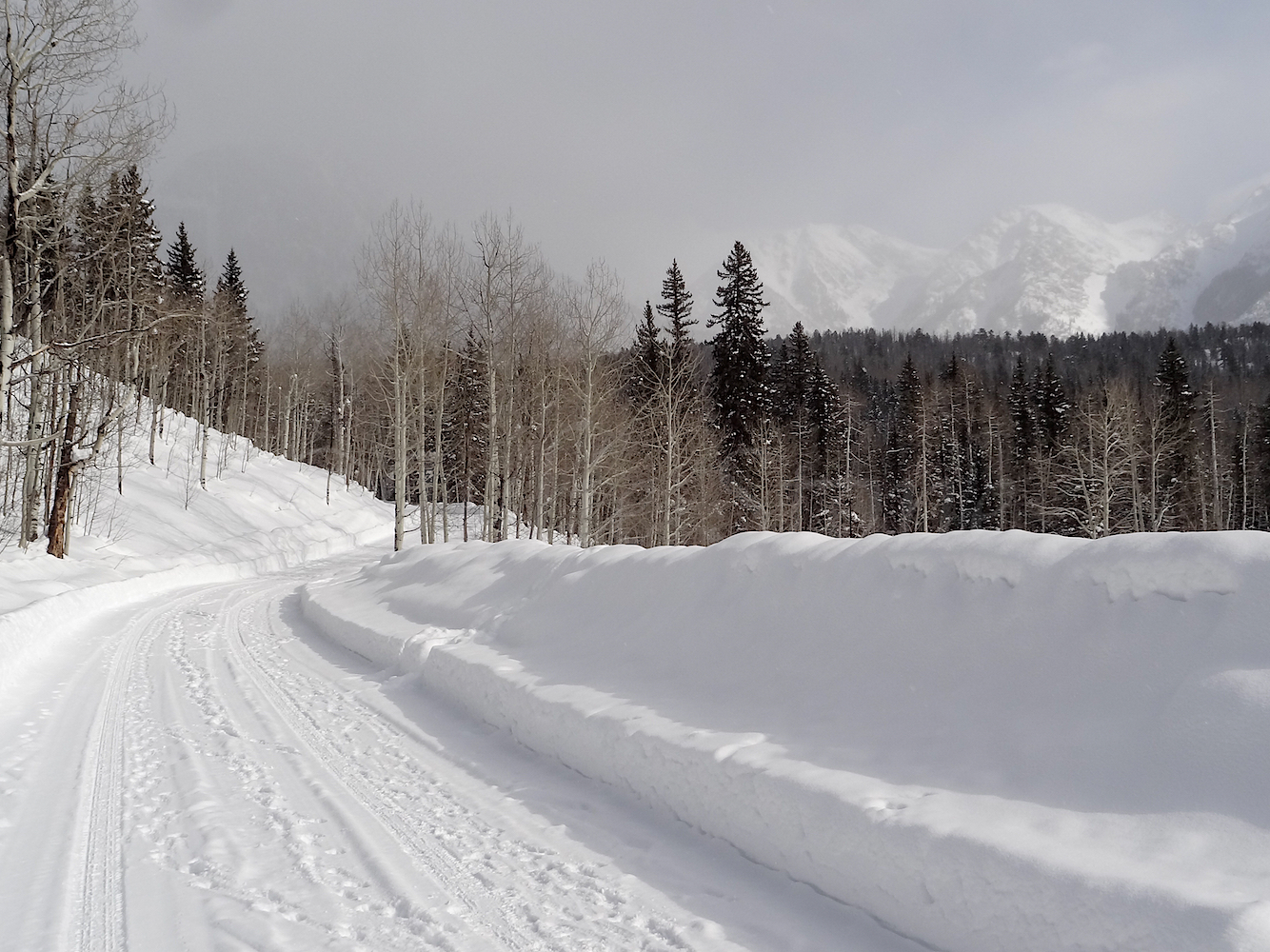 Lime Creek Road Snowshoe, Image #5204