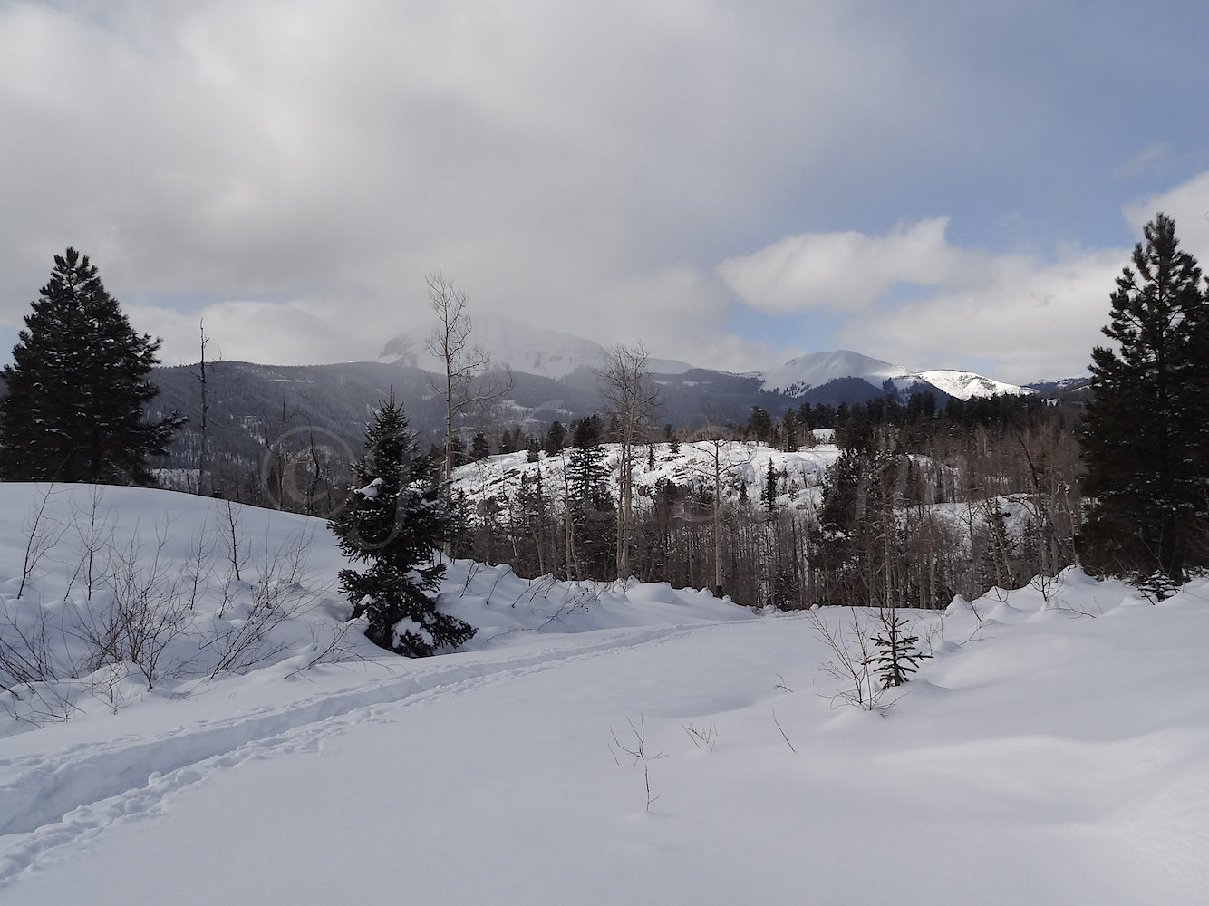 Lime Creek Road Snowshoe, Image #5299