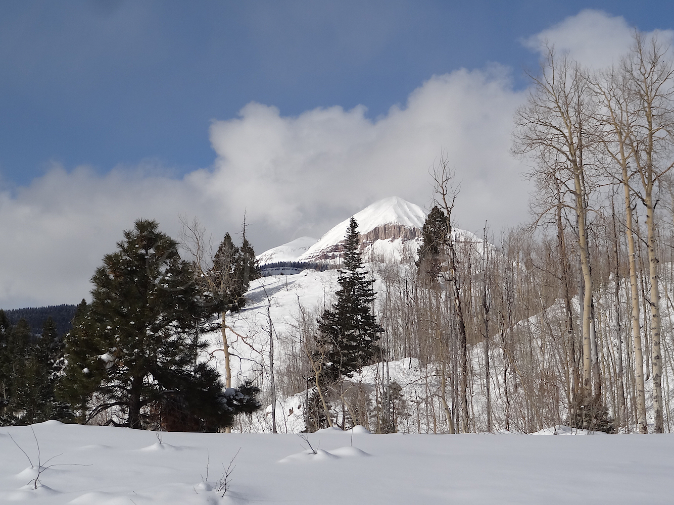 Lime Creek Road Snowshoe, Image #5350