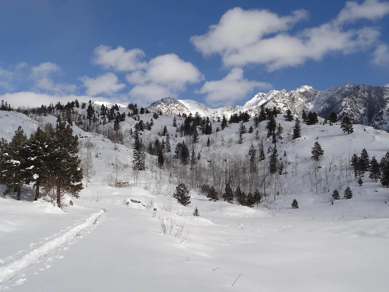 Lime Creek Road Snowshoe, Image #5356
