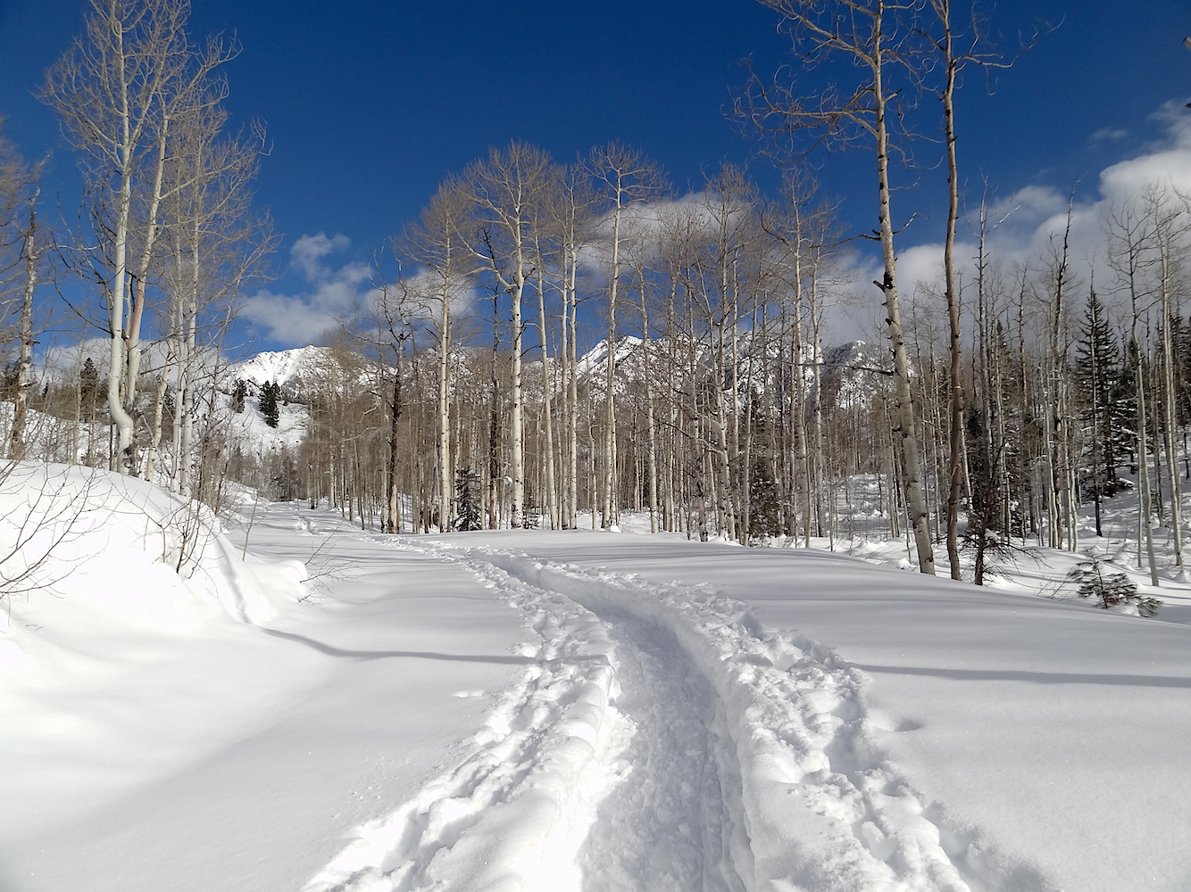 Lime Creek Road Snowshoe, Image #5406