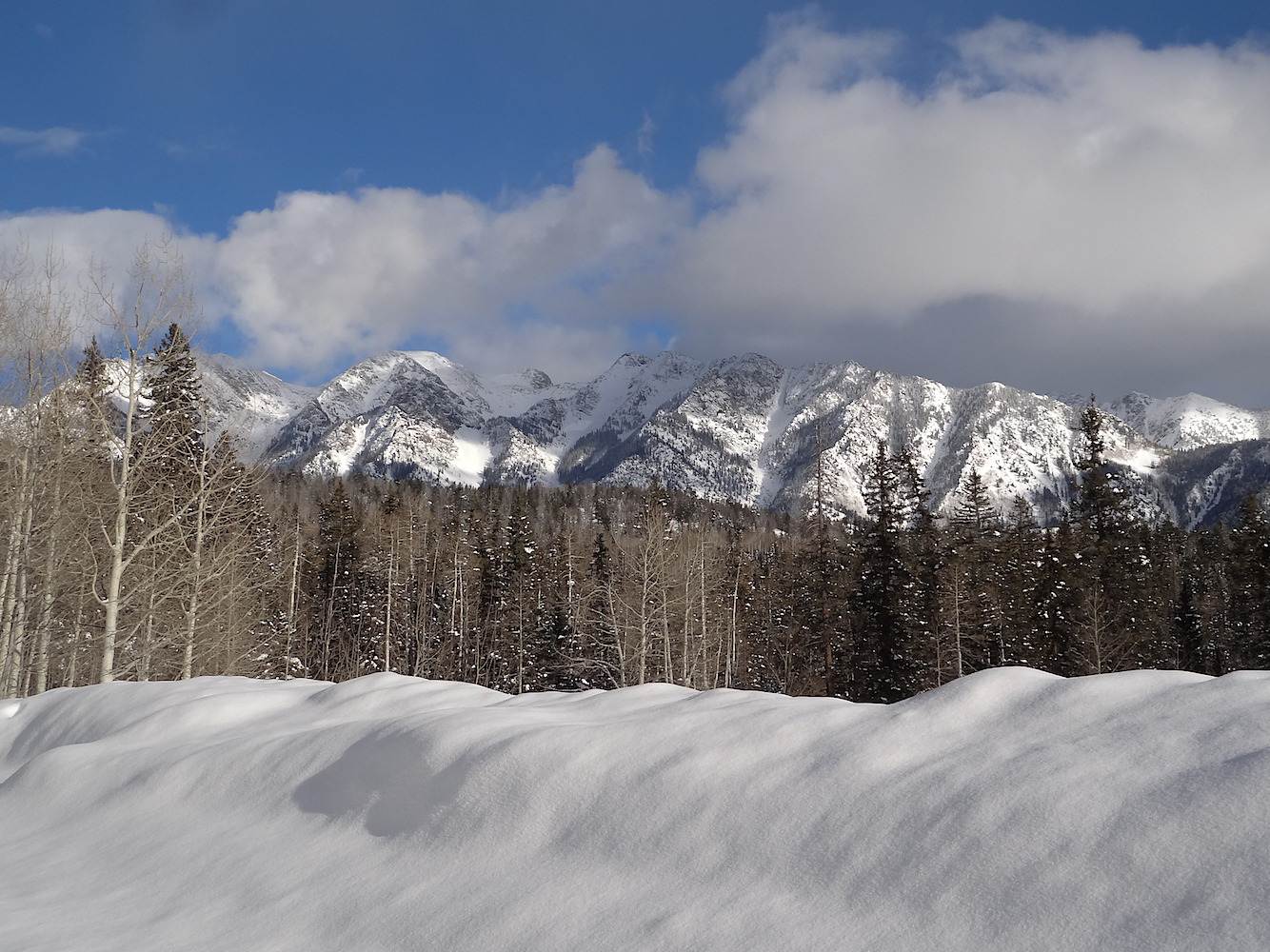 Lime Creek Road Snowshoe, Image #5429