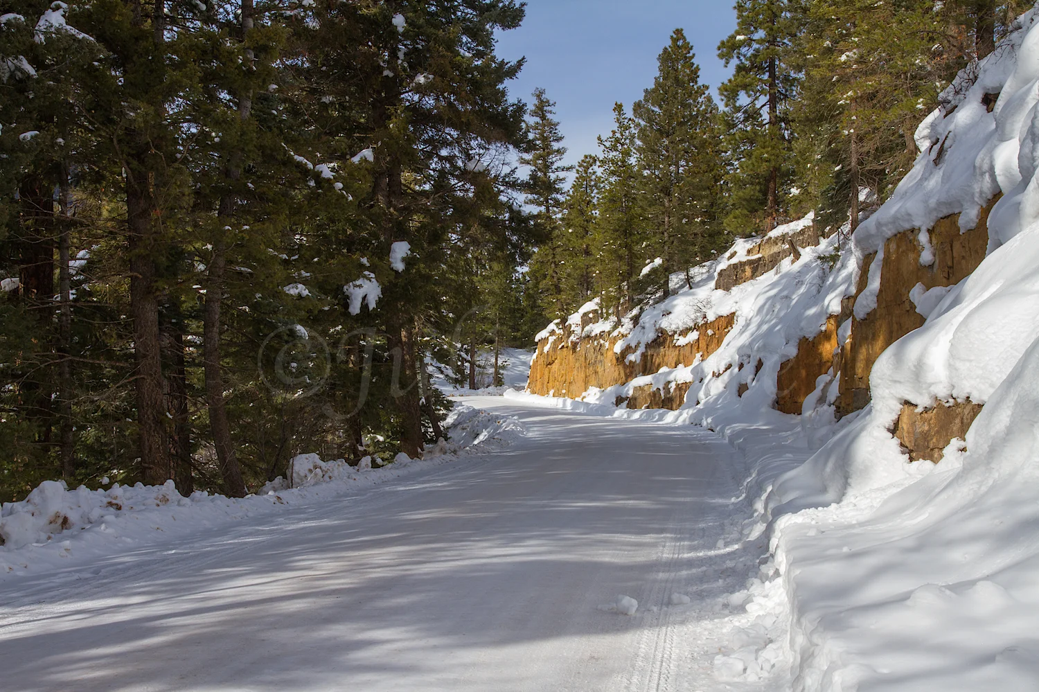 Spruce Mesa Road, Image #1802