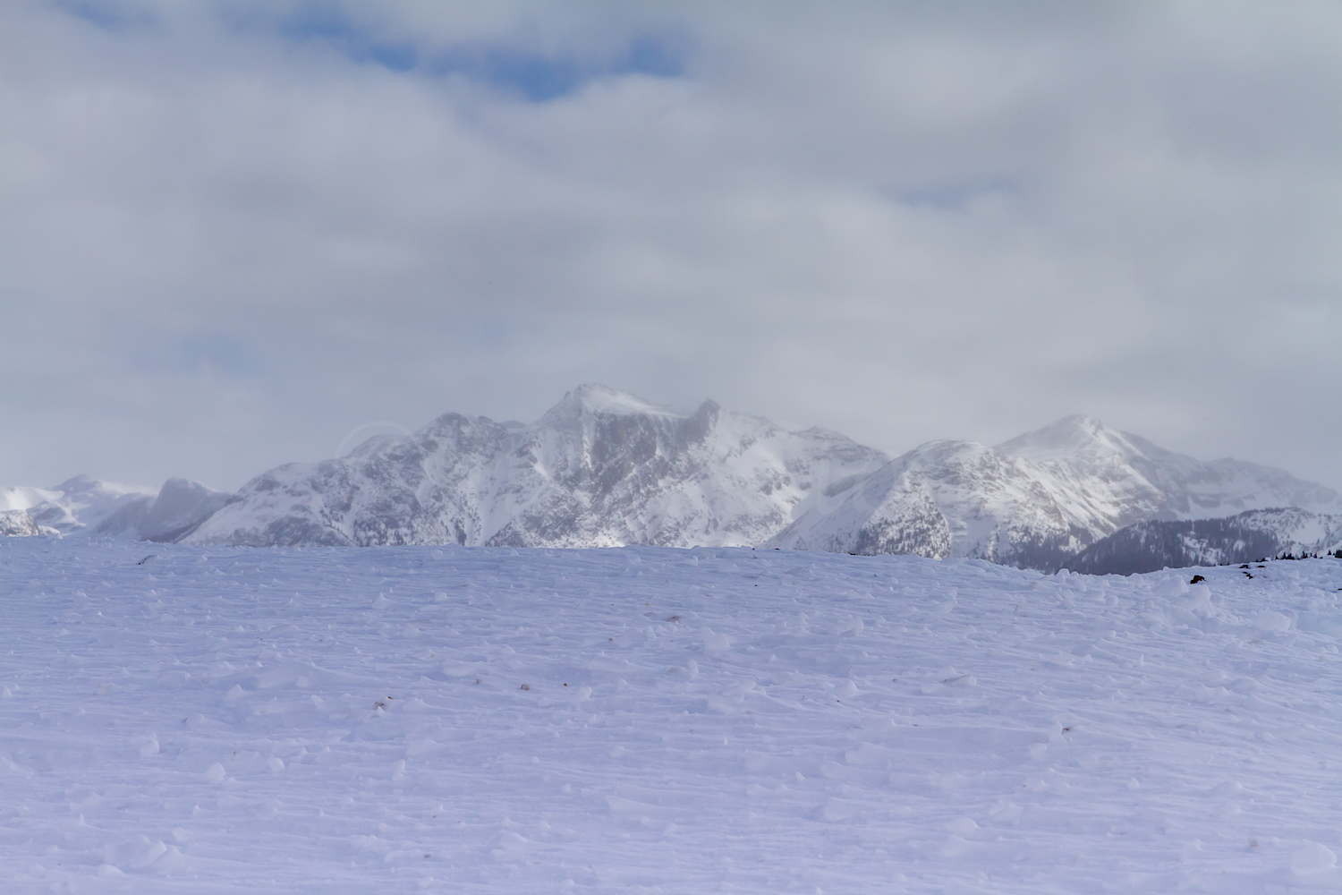 Molas Pass, Image # 9046