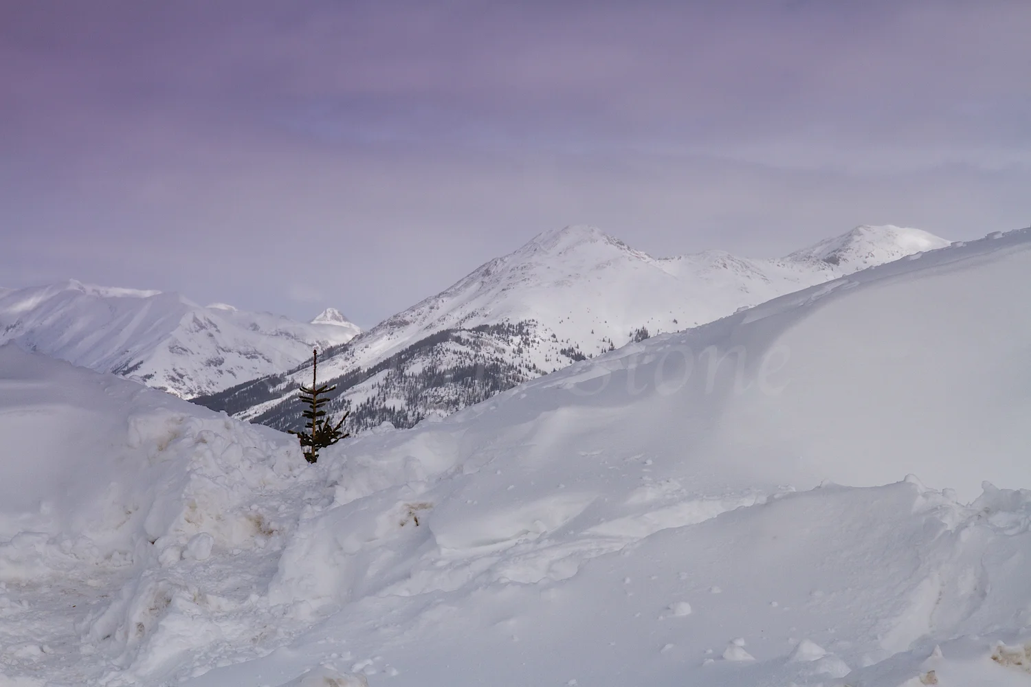 Molas Pass, Image #9051