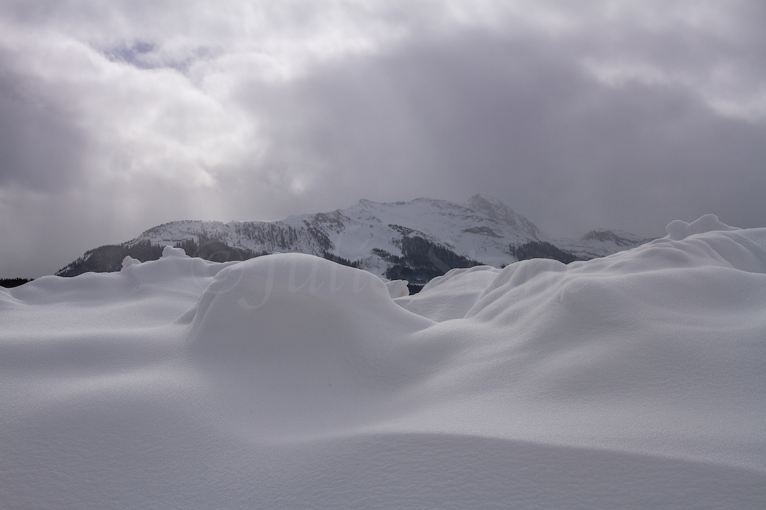 Molas Pass, Image #9060