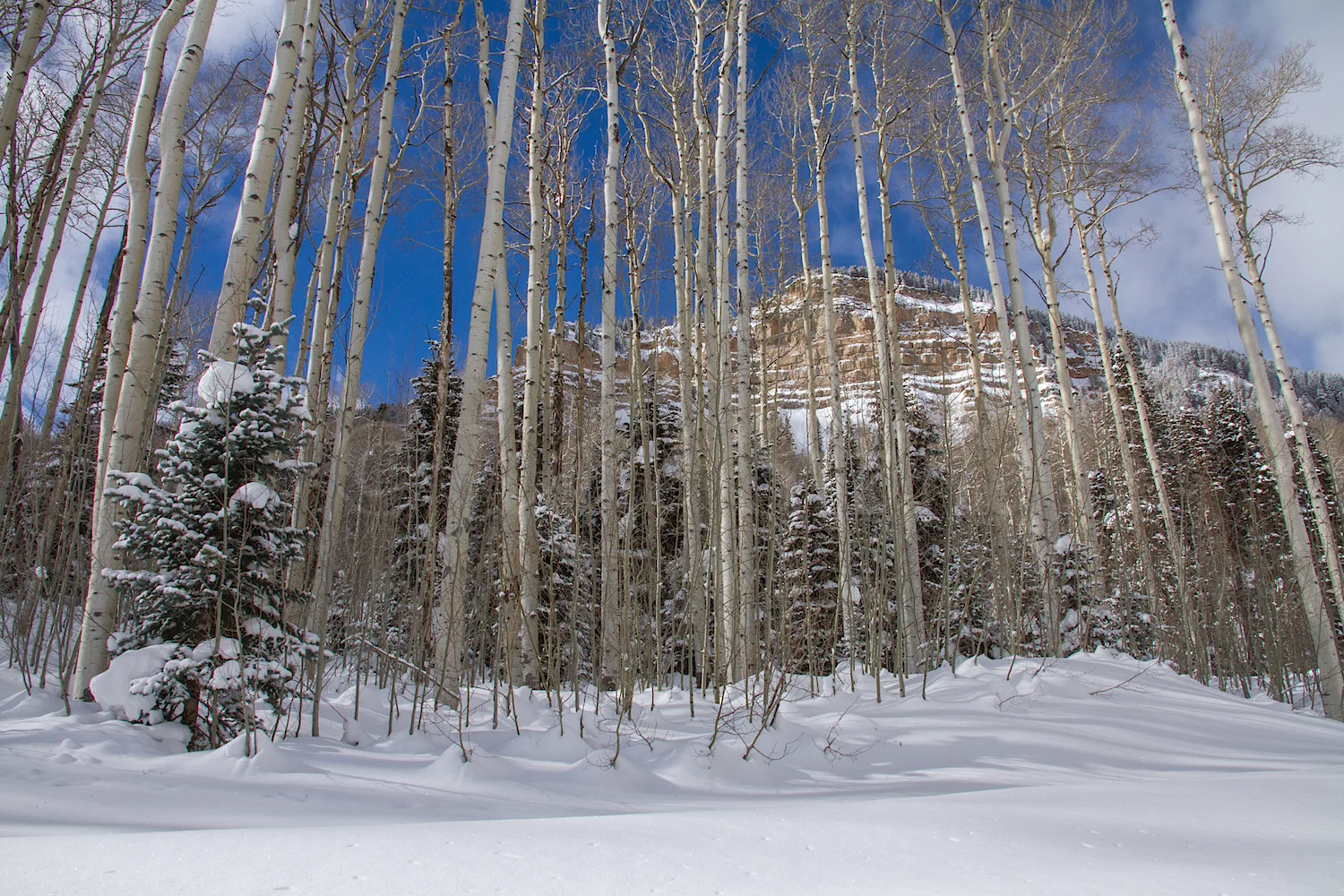 Castle Rock, Image #9846